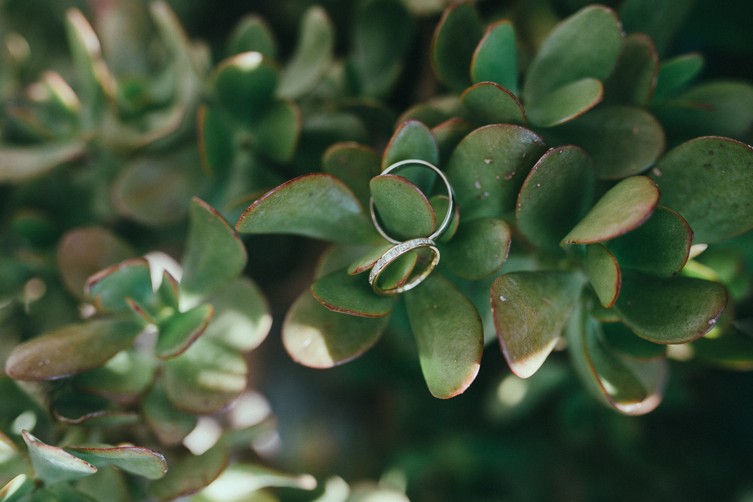 rings-amalfi-coast.jpg