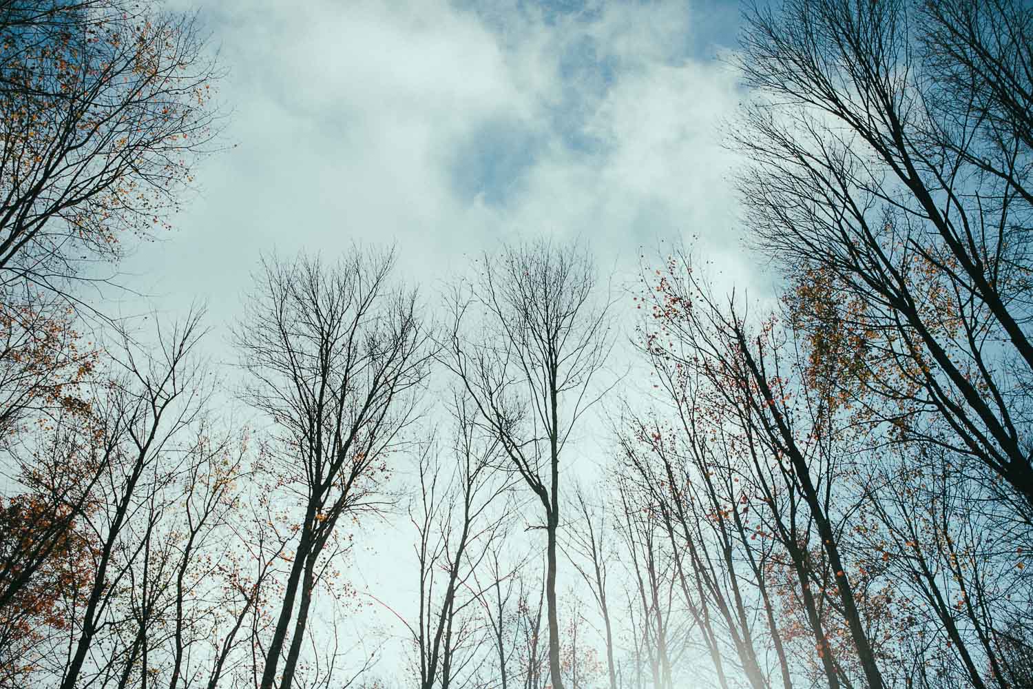 catskill-wedding-photographer (69).jpg