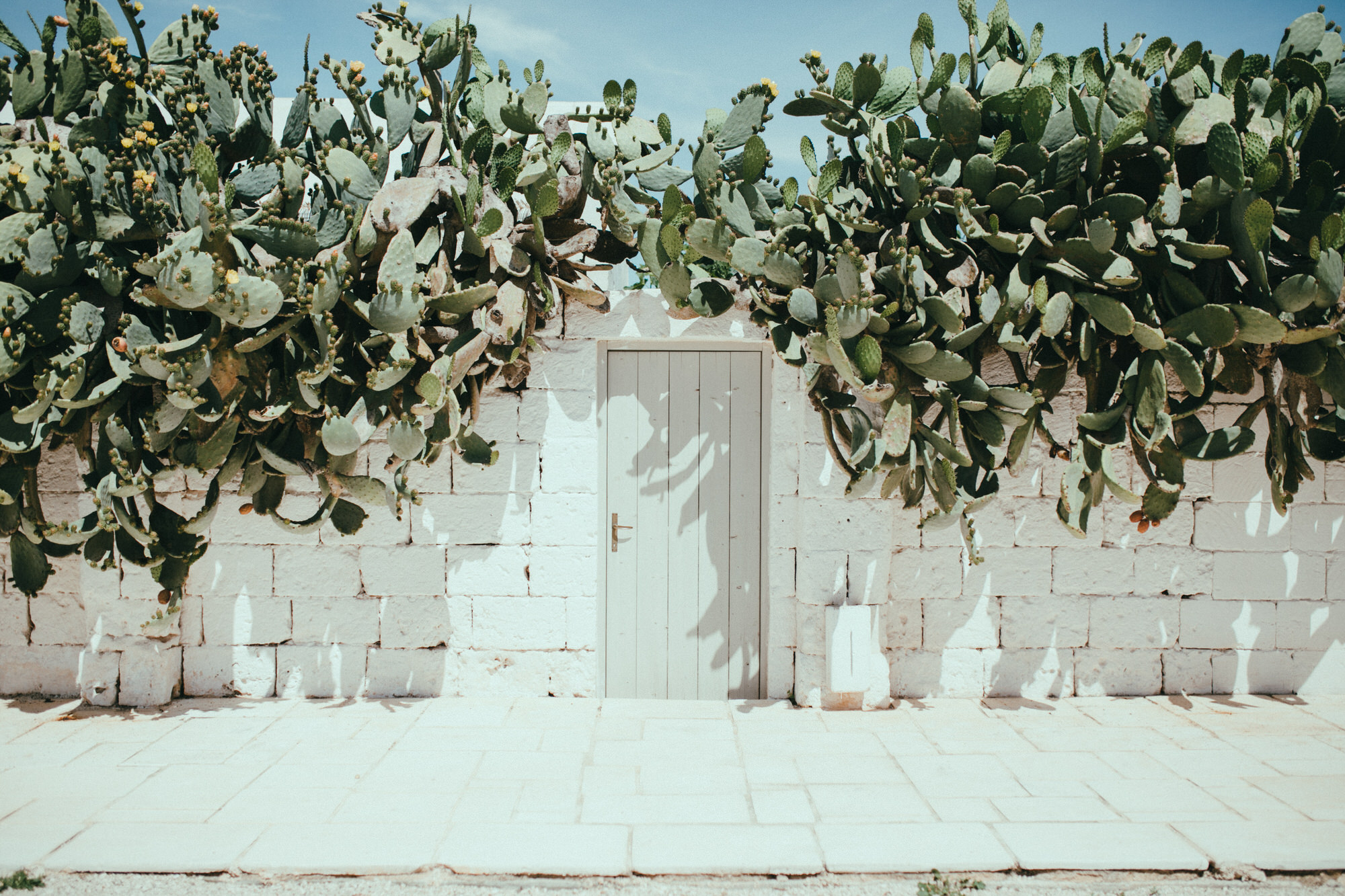 masseria-potenti-wedding-photographer8.jpg