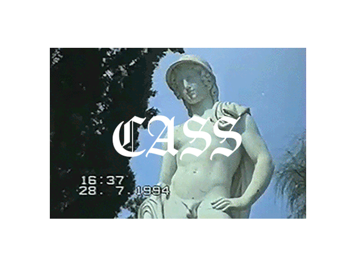 cass-animation.gif