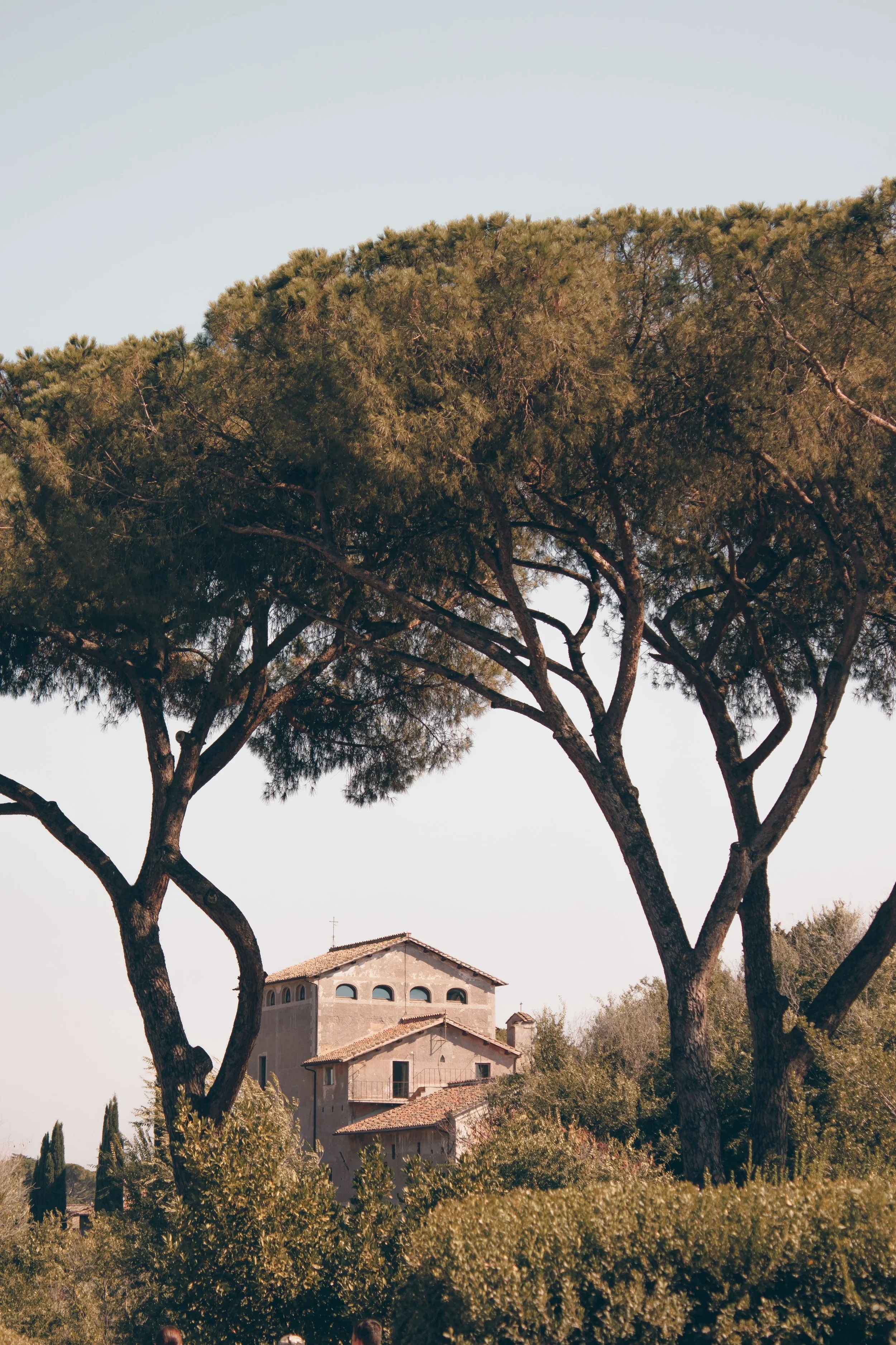 pexels-stonesdonotdisappear-20406210.jpg