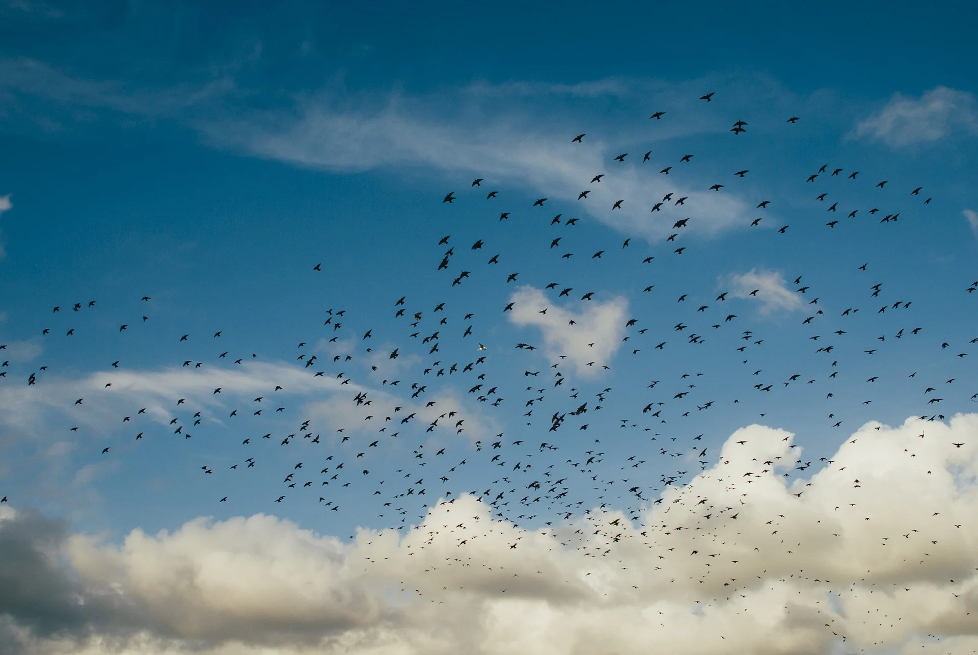 Managing Performance Anxiety: Finding Your Mental Power Zone