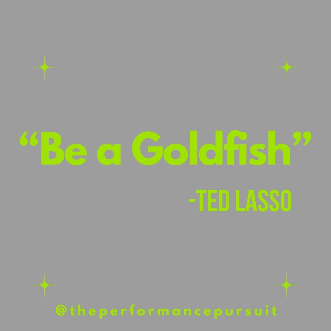 From the wise words of coach Ted Lasso, &quot;Be a Goldfish.&quot; Now what does this mean?

The idea behind &quot;being a goldfish&quot; is to allow yourself to have a 10-second memory. When mistakes, errors, and poor decision-making occur - we must