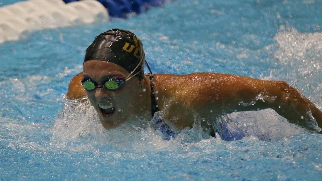 Dari W Banner Action Shot.jpg