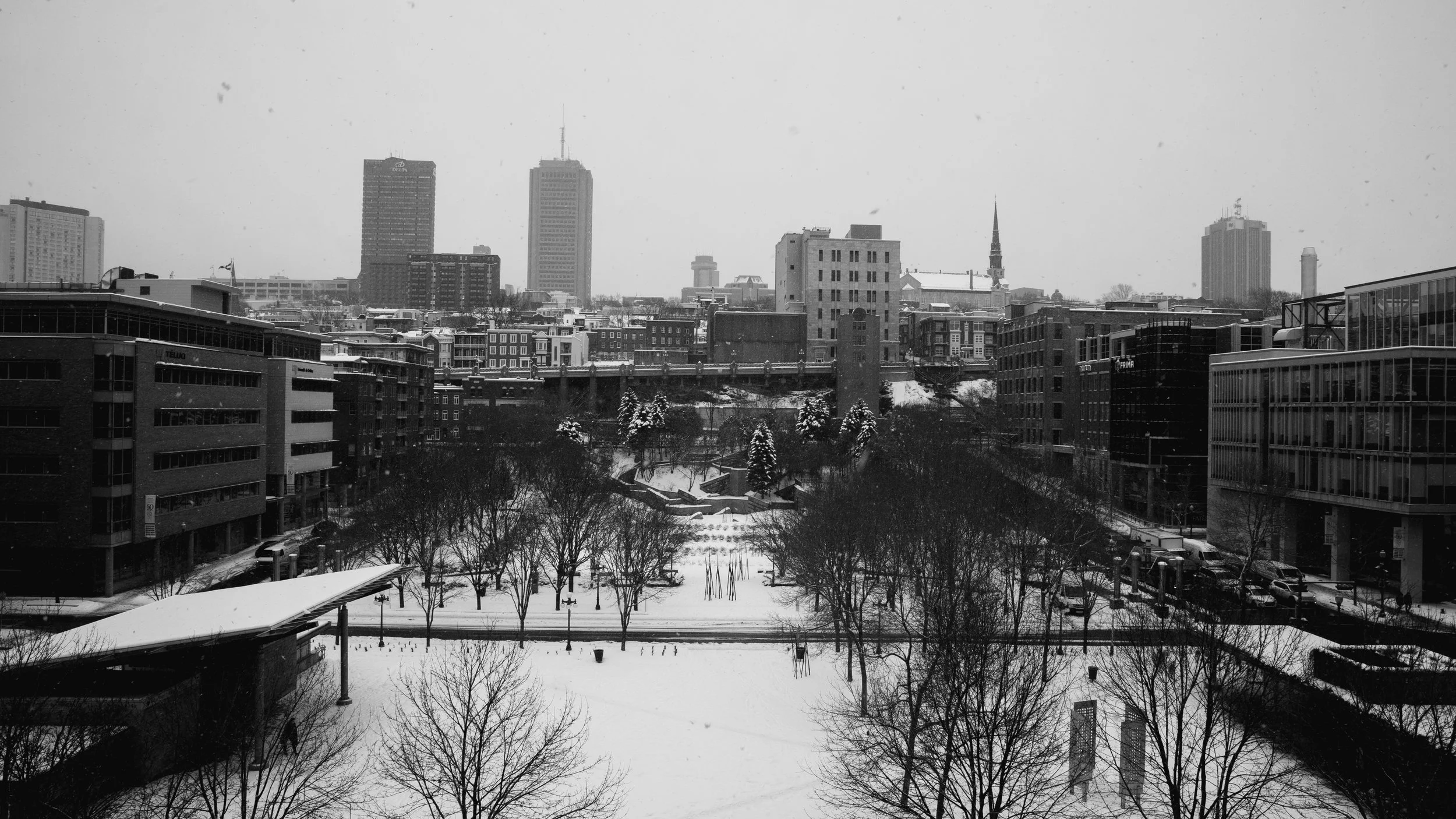 _181120-10.jpg