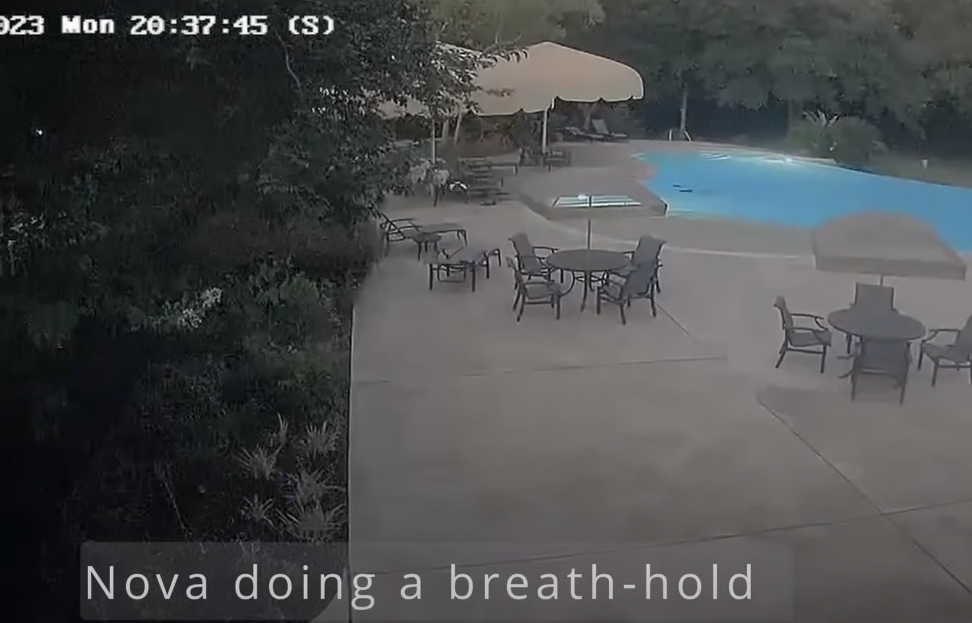 Footage Released of Fatality While Practicing Wim Hof Method in Pool