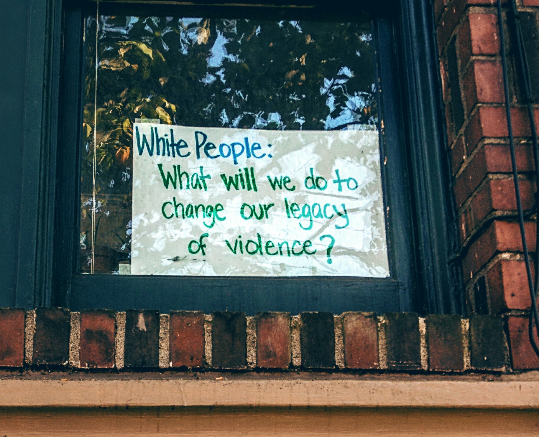 Spotted in an apartment window on my way home in Seattle, WA (August 2015)