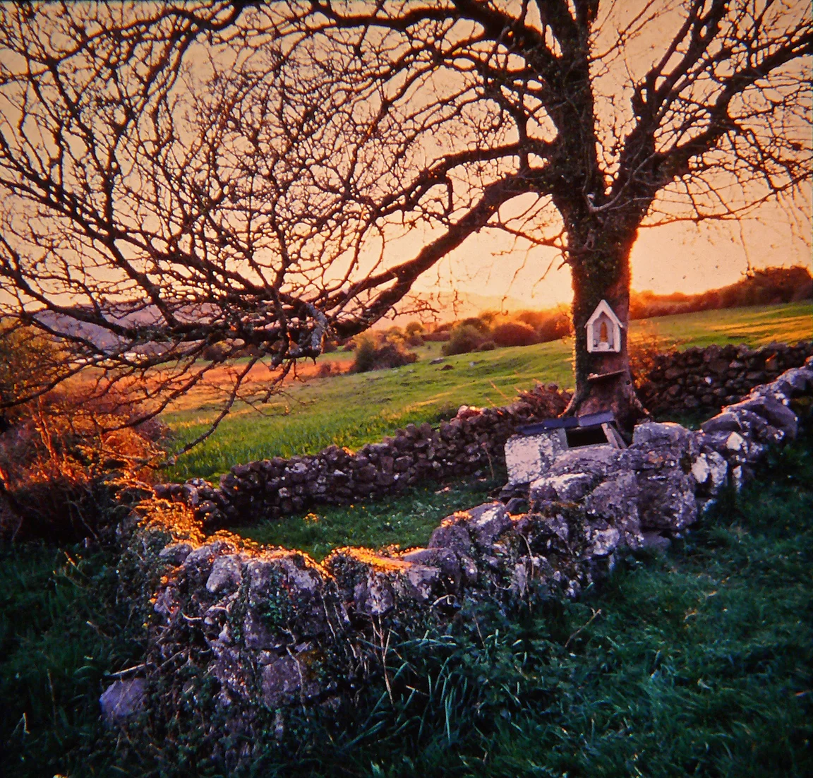 Heaven and Earth Documentary Trailer