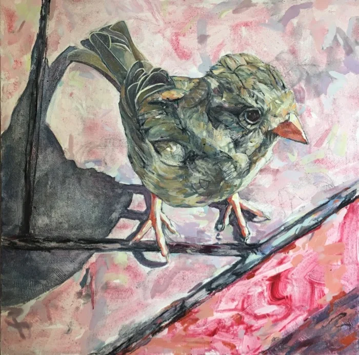 Sparrow (5).jpg