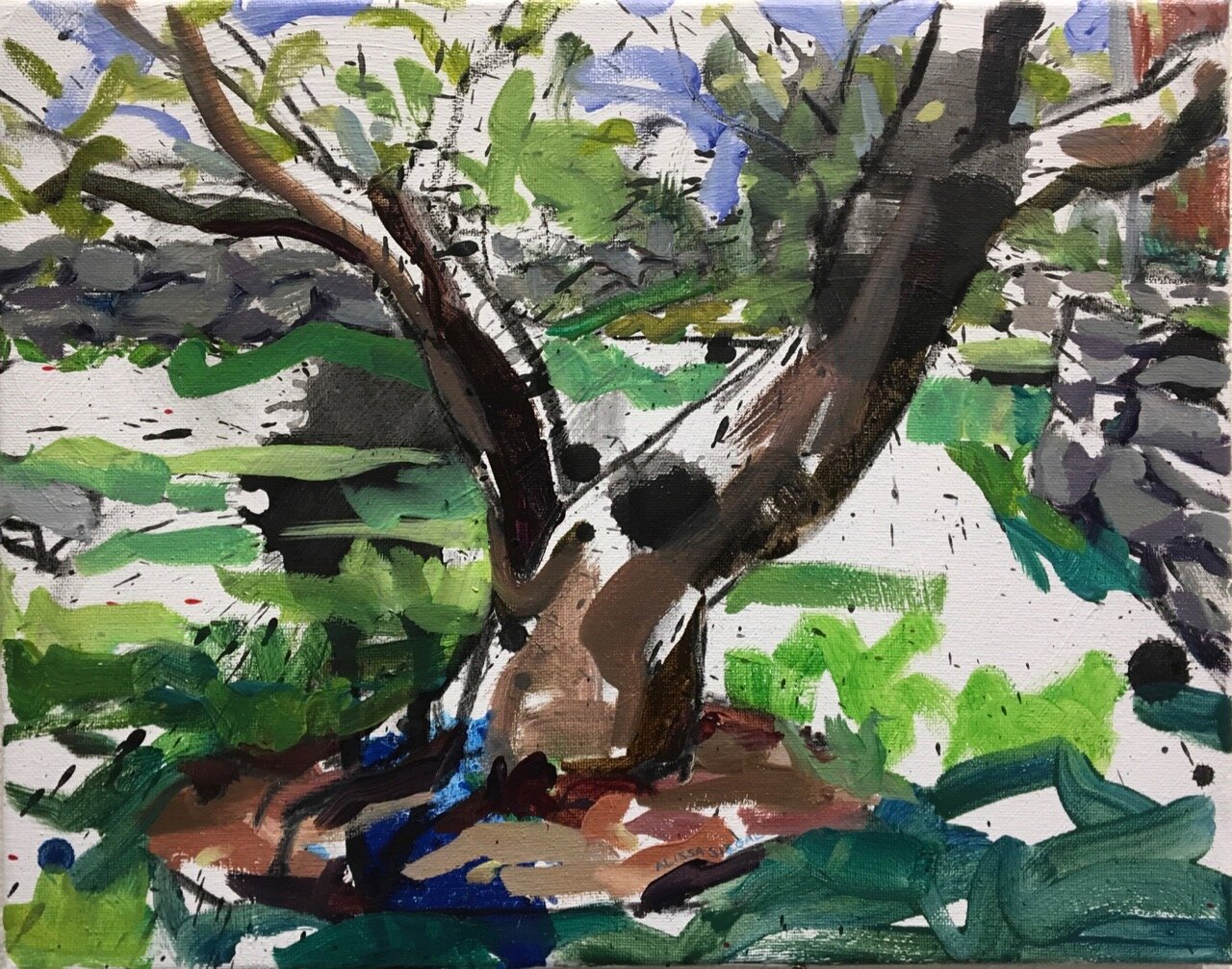 Split Tree