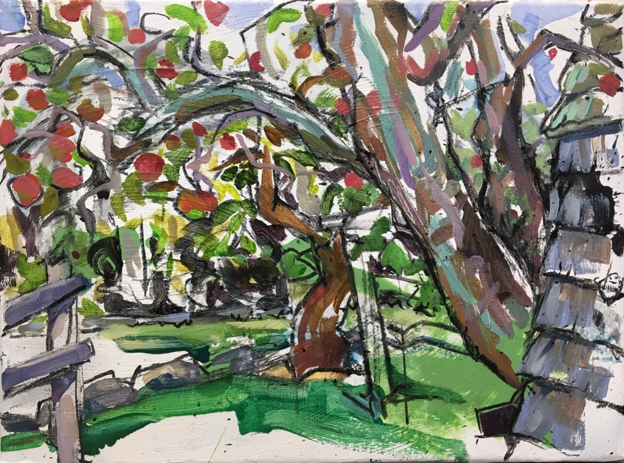Apple Tree and Shed