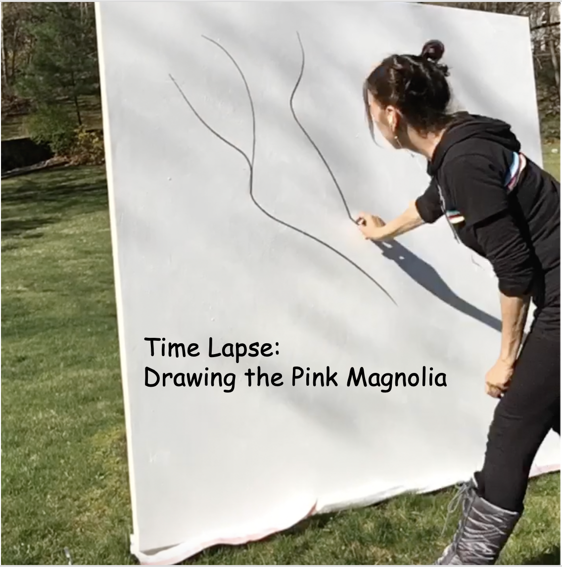 Drawing the Pink Magnolia