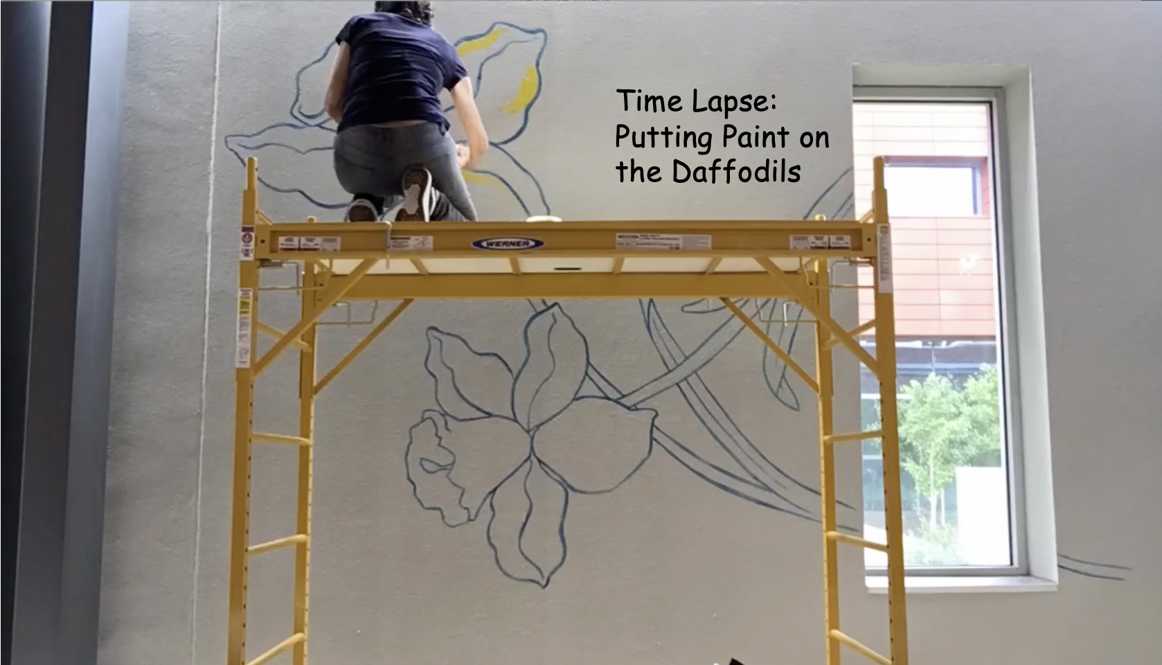 putting paint on the Daffodils