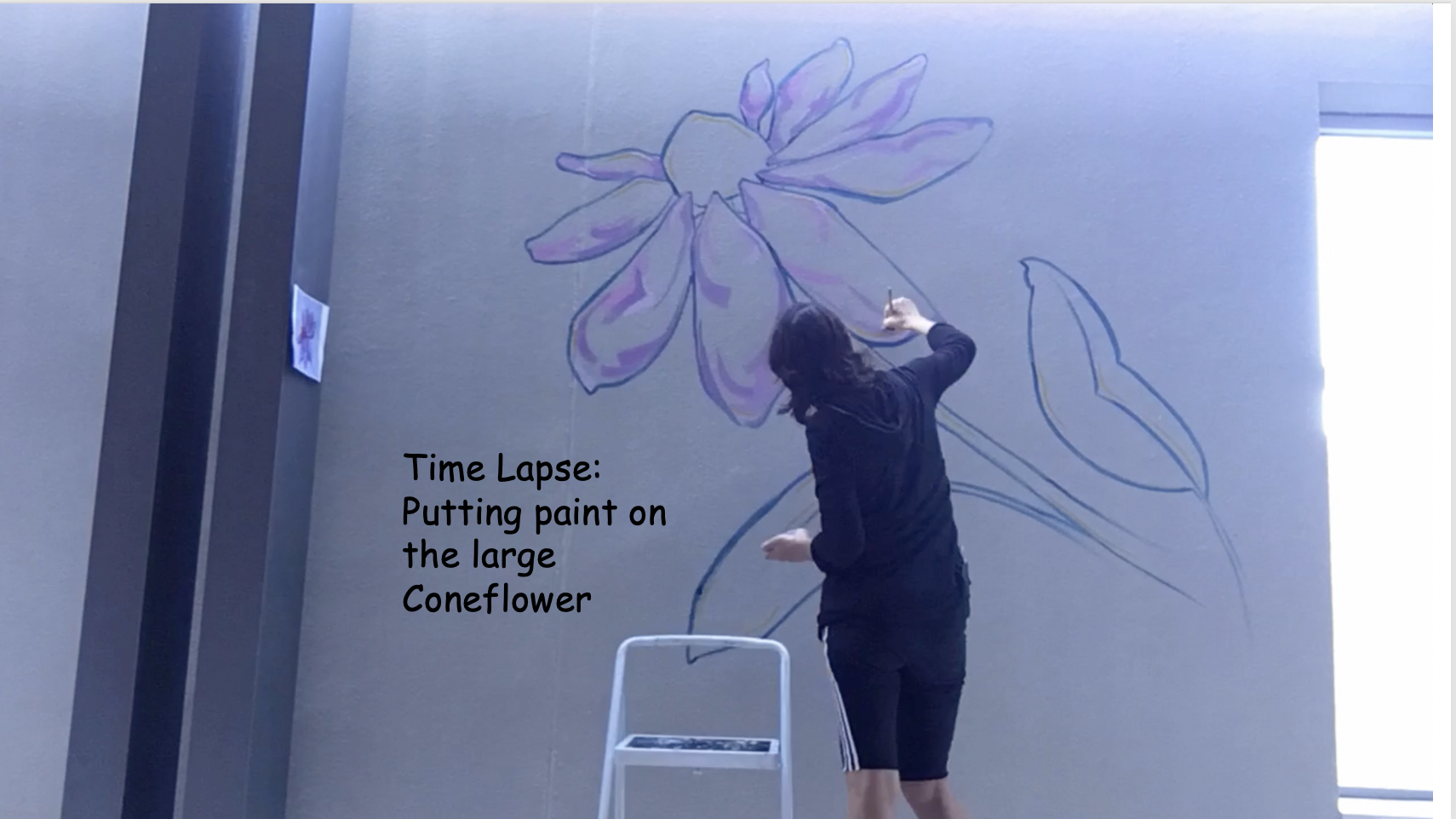 putting paint on the large Coneflower