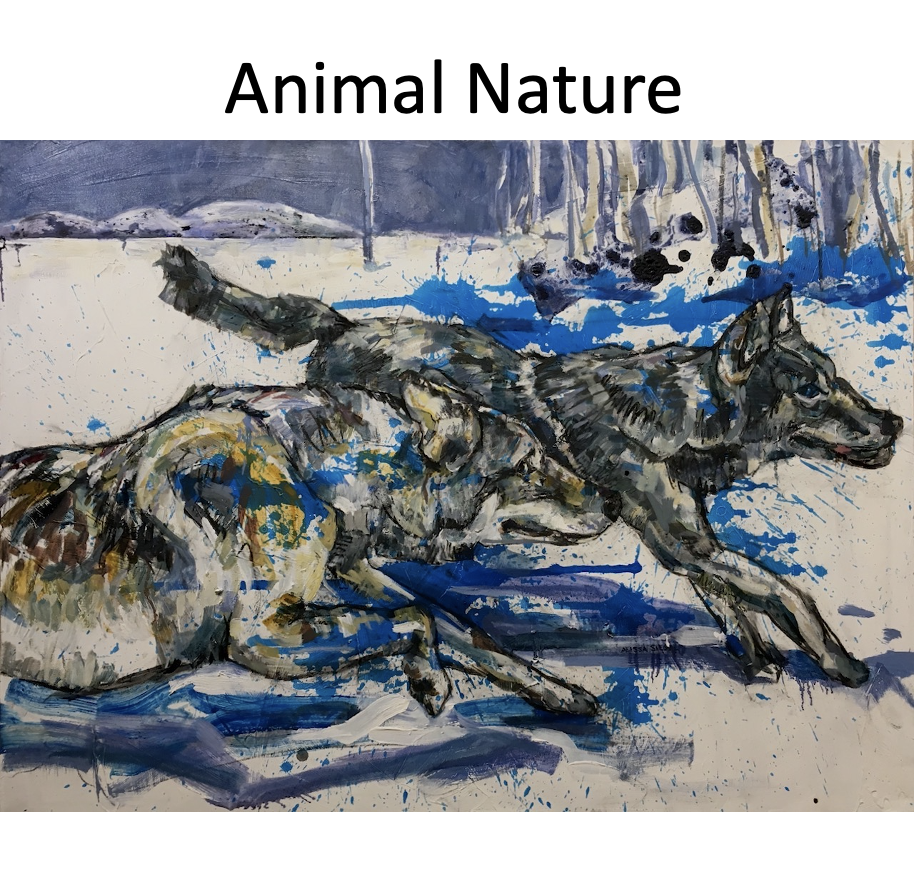 Animal Nature