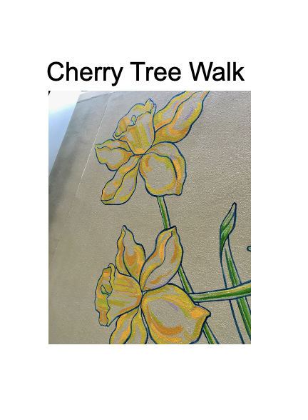 Cherry Tree Walk