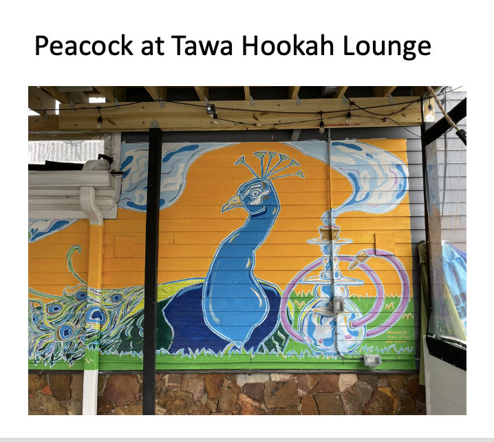 Peacock at Tawa Hookah Lounge