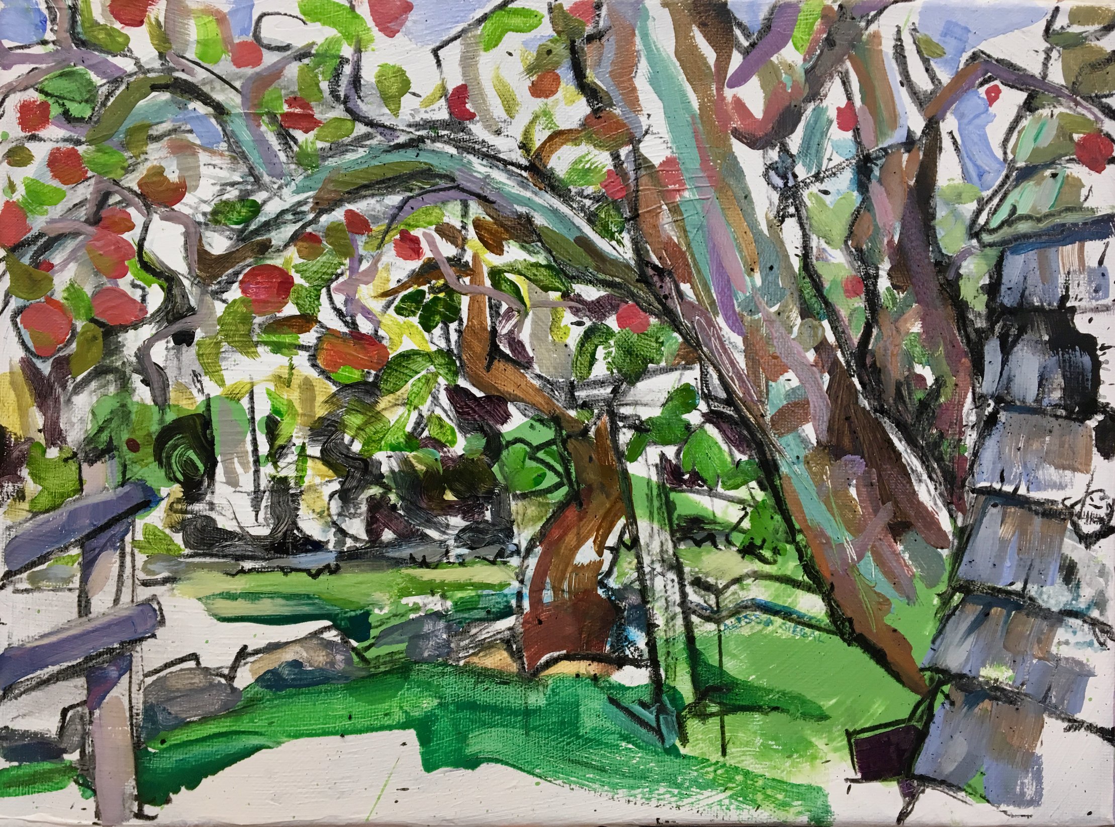 Apple Tree &amp; Shed