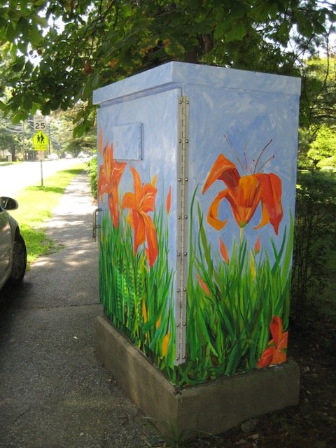 Lily Box