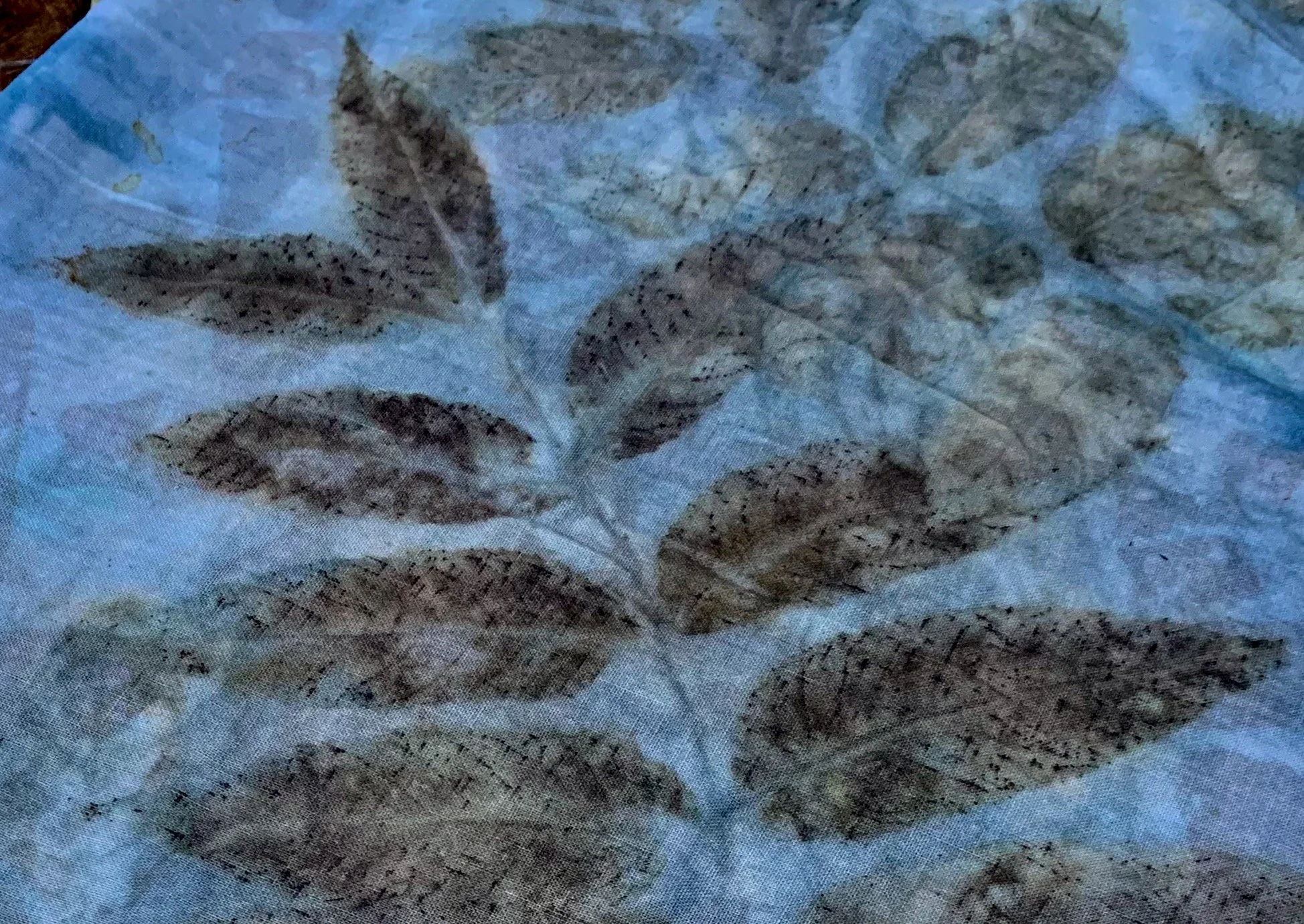 eco-print with indigo.jpeg