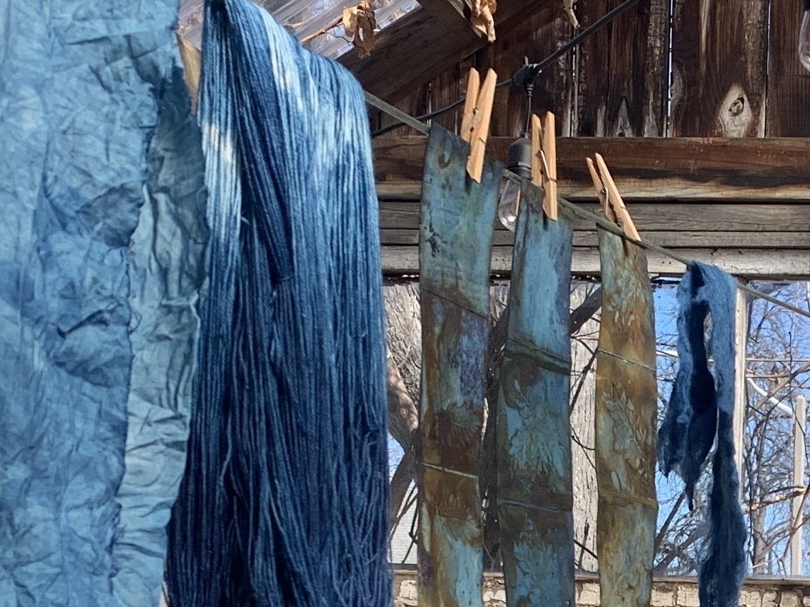 indigo dipped fabric + yarn drying in the greenhouse Feb 29:24.jpeg