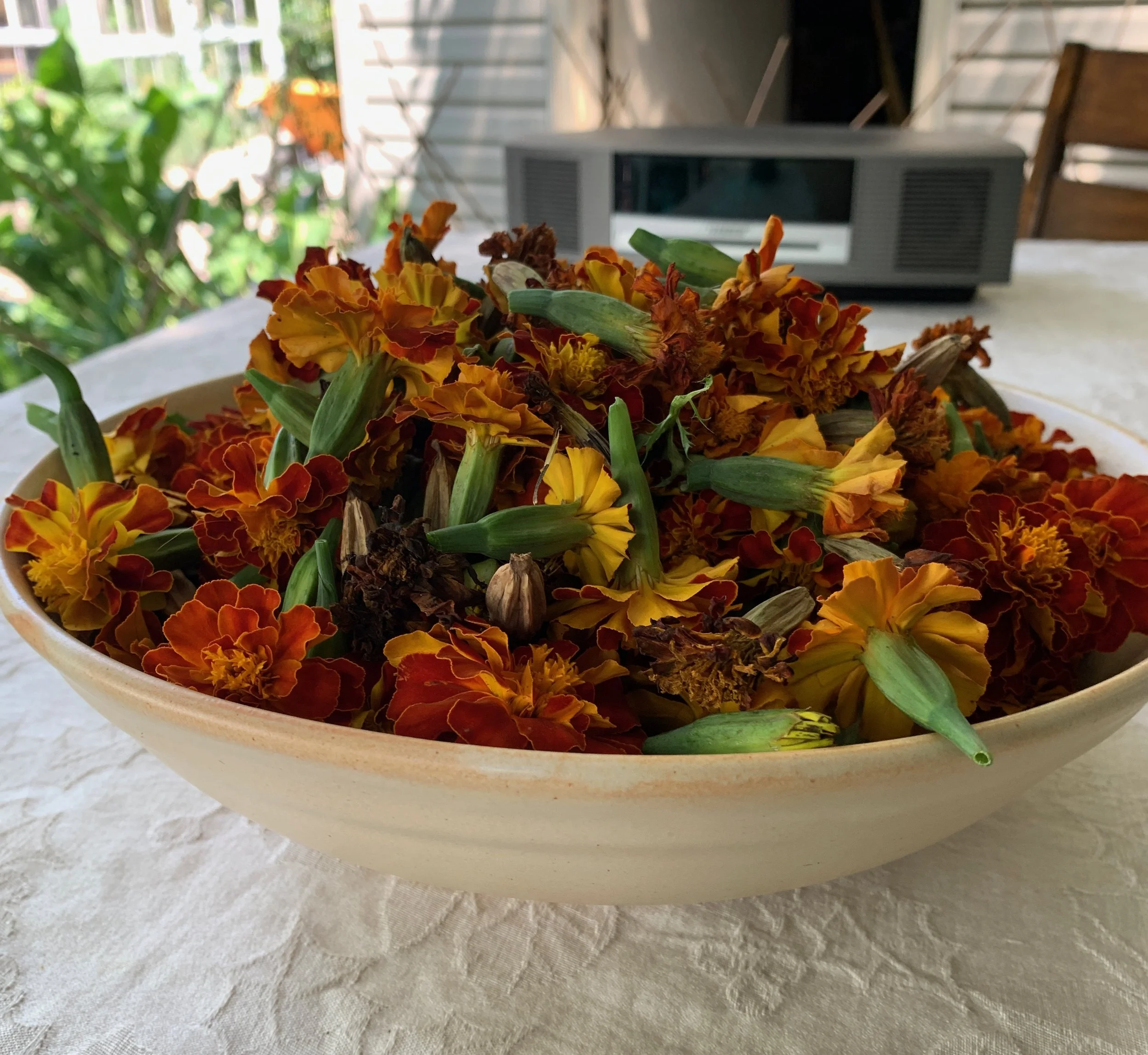 marigolds in bowl.jpeg