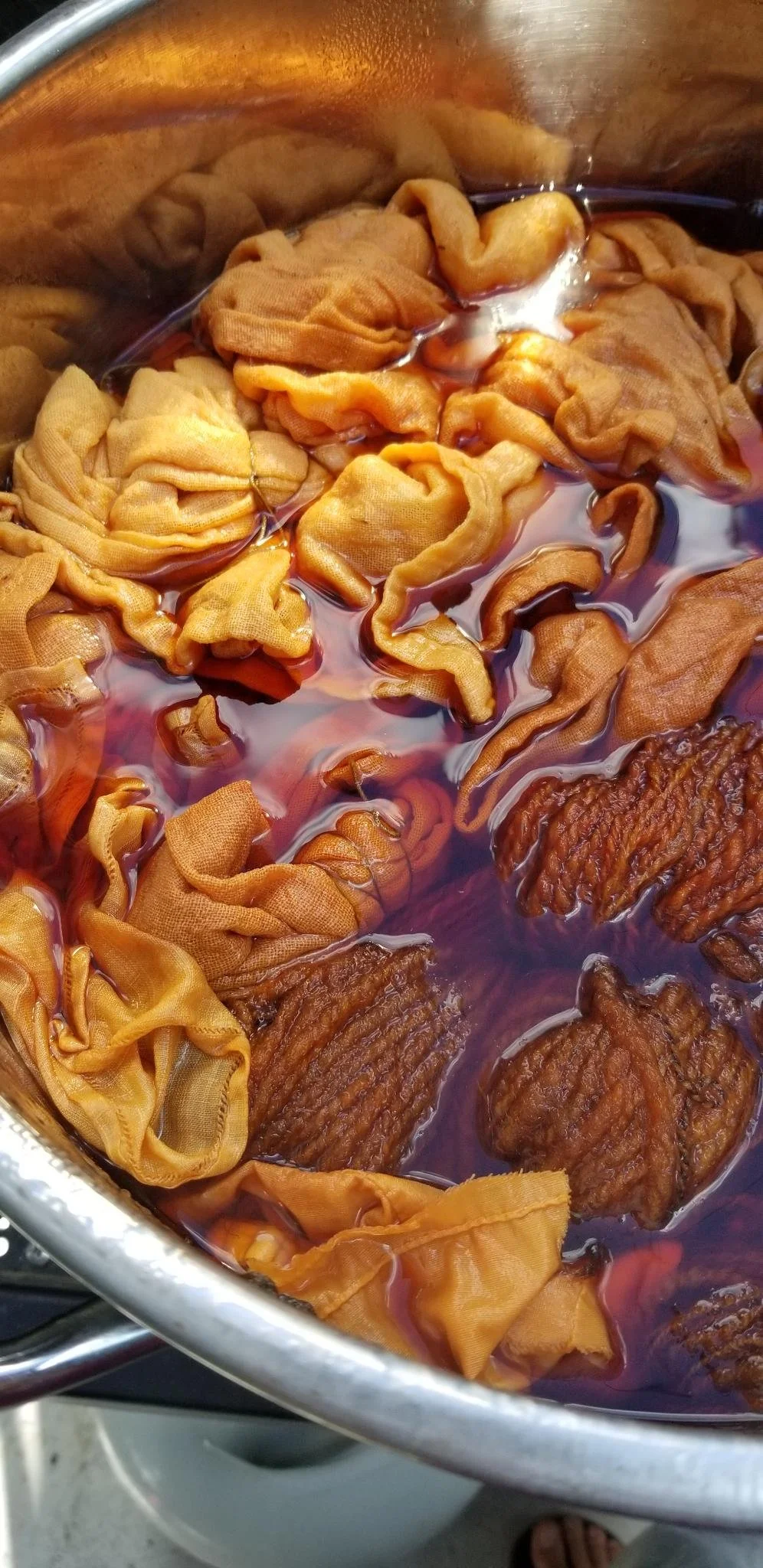 August 16 and August 23. Intro to Plant Based Dyes