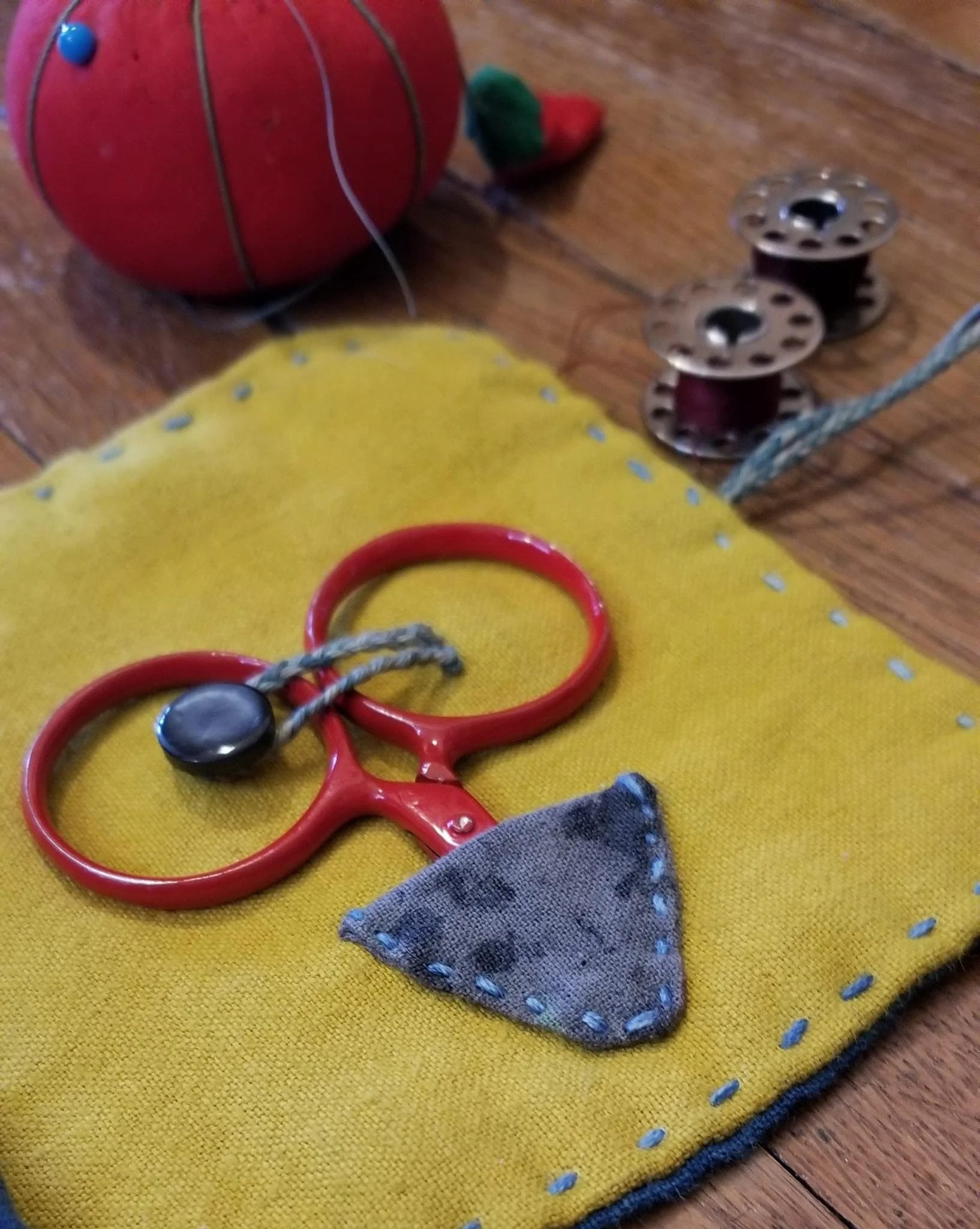 jodi needle book #5.jpeg