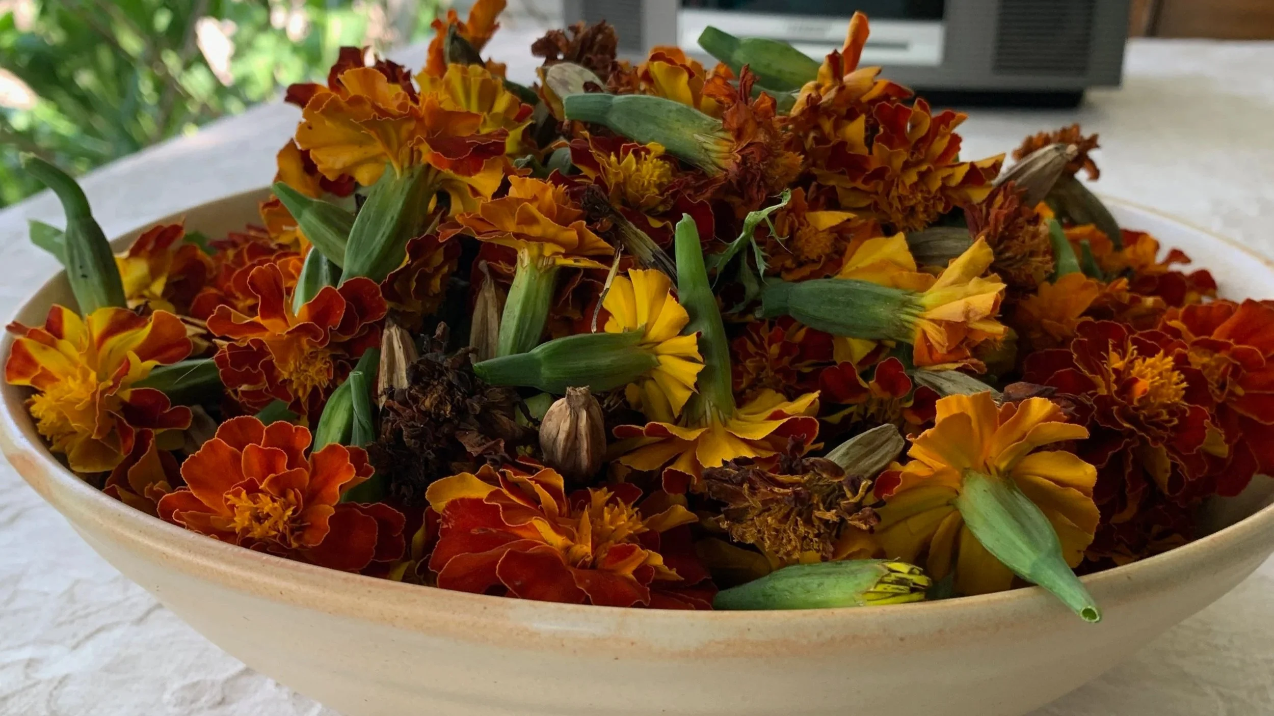 marigolds+in+bowl.jpg