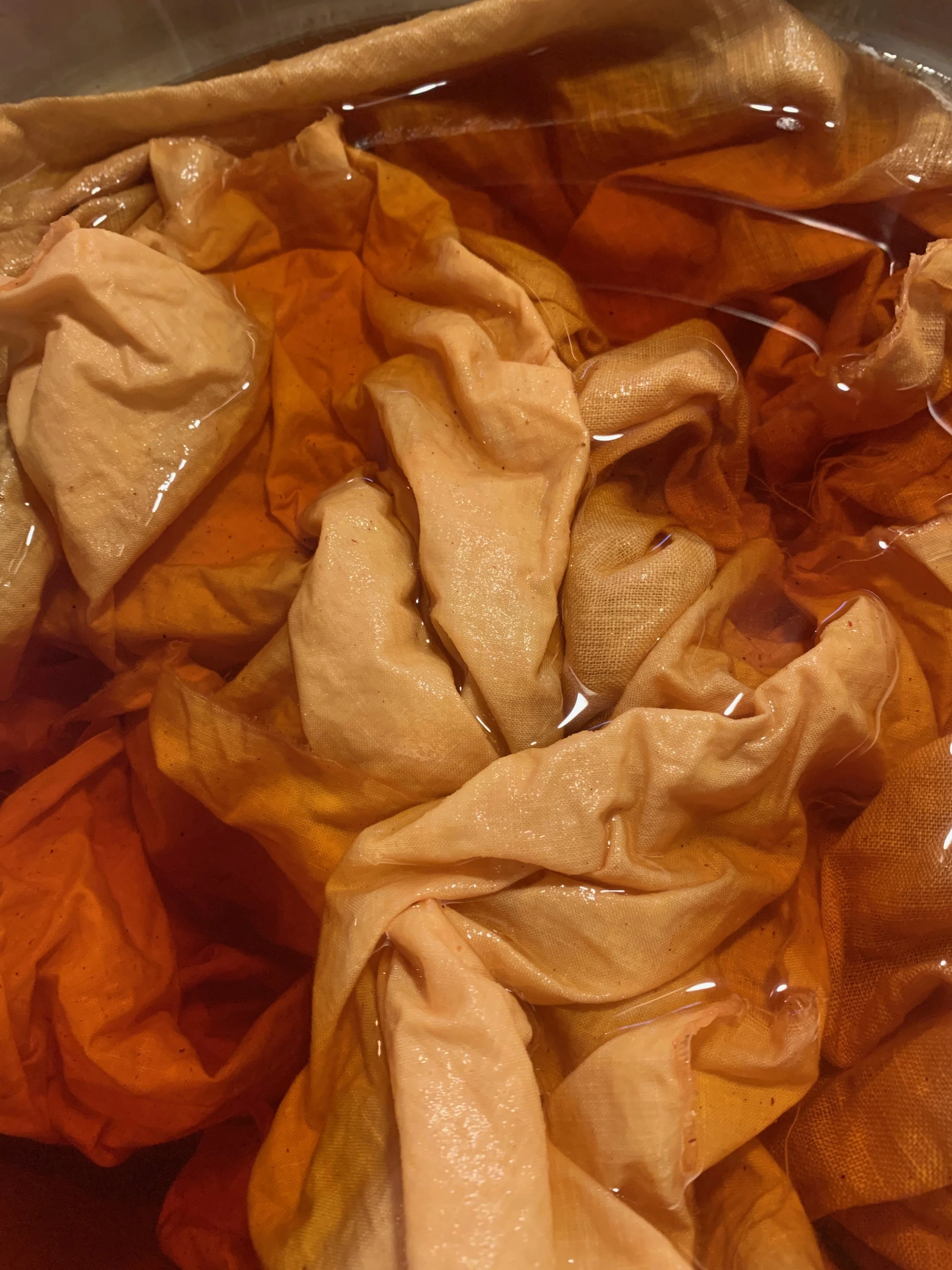 onion skin dye pot.jpeg