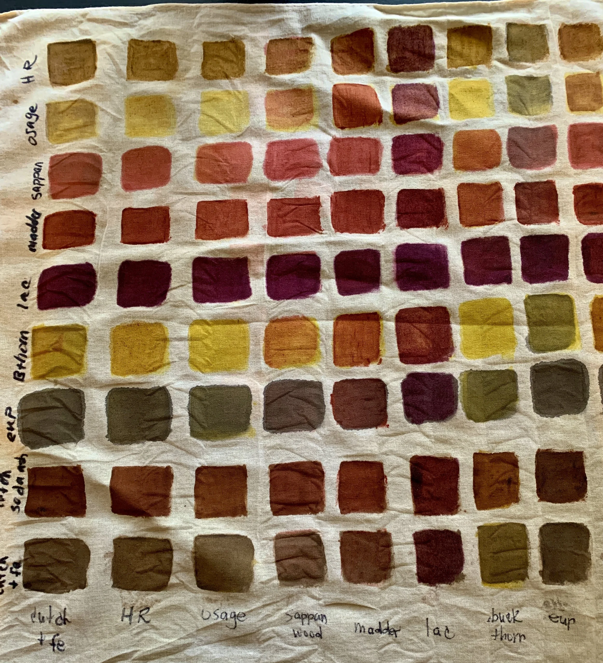 July 6 and July 13. Printing and Painting with Natural Dyes