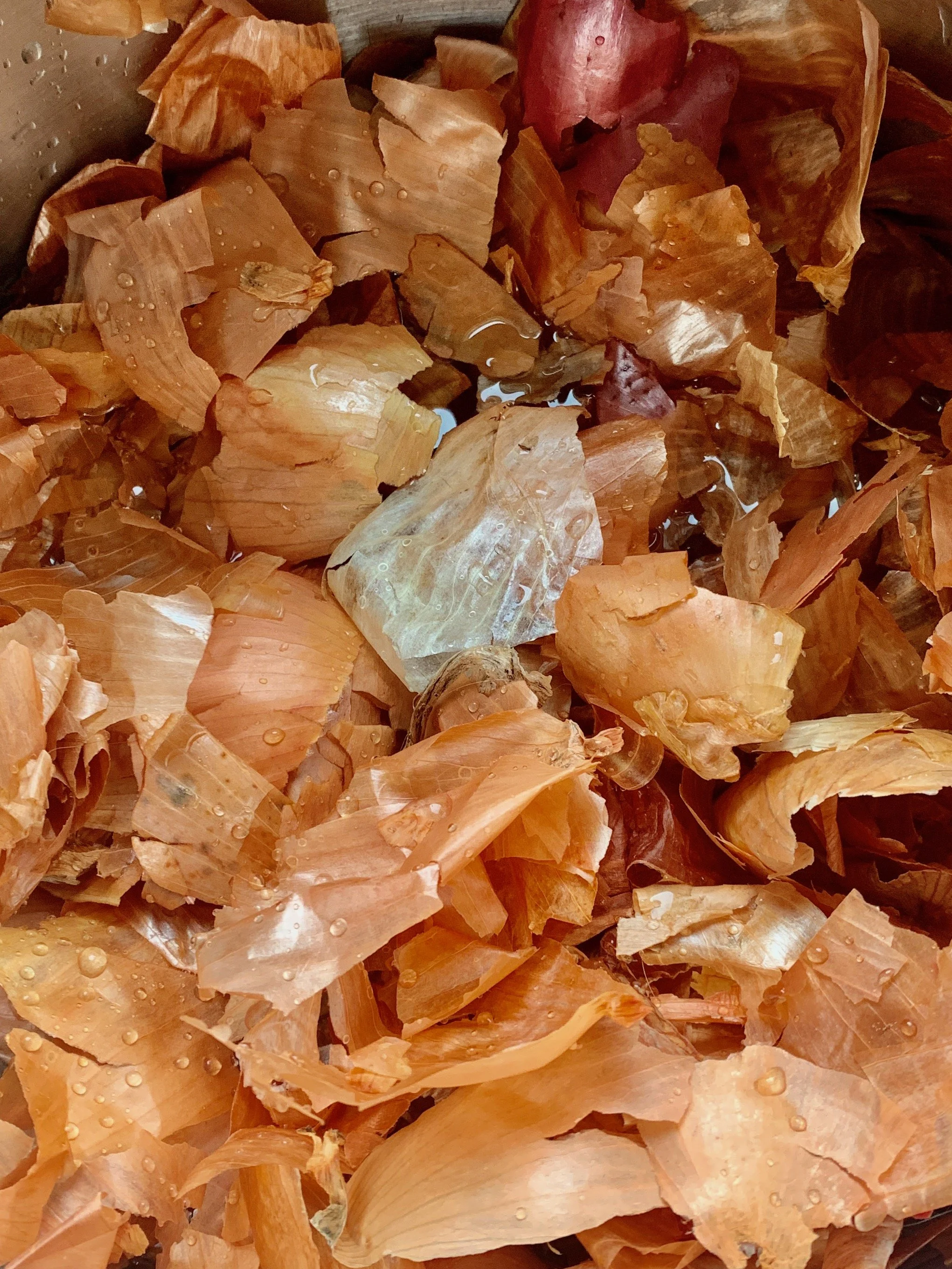 onion skins.jpeg