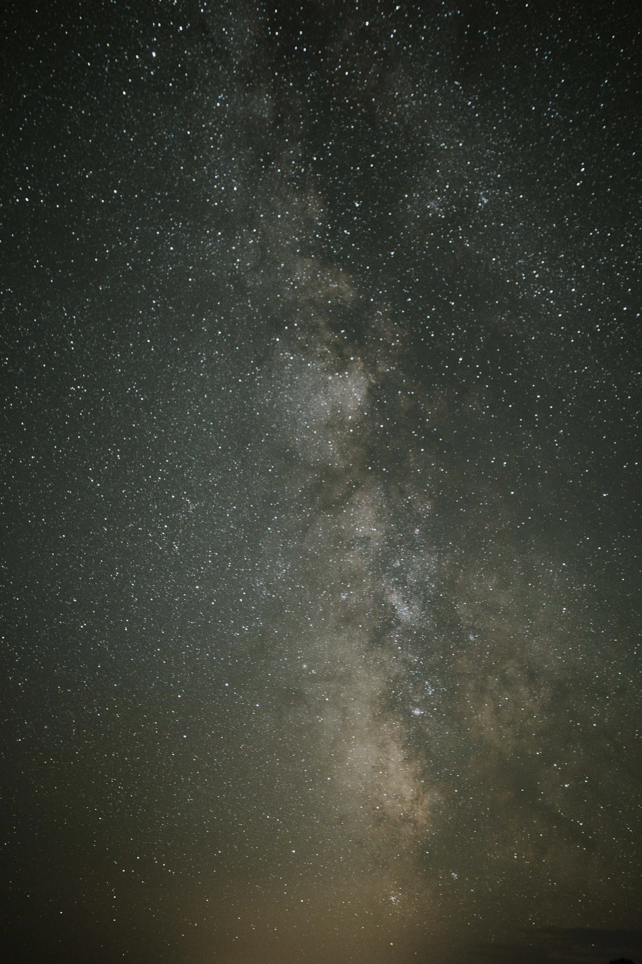 98.jpg