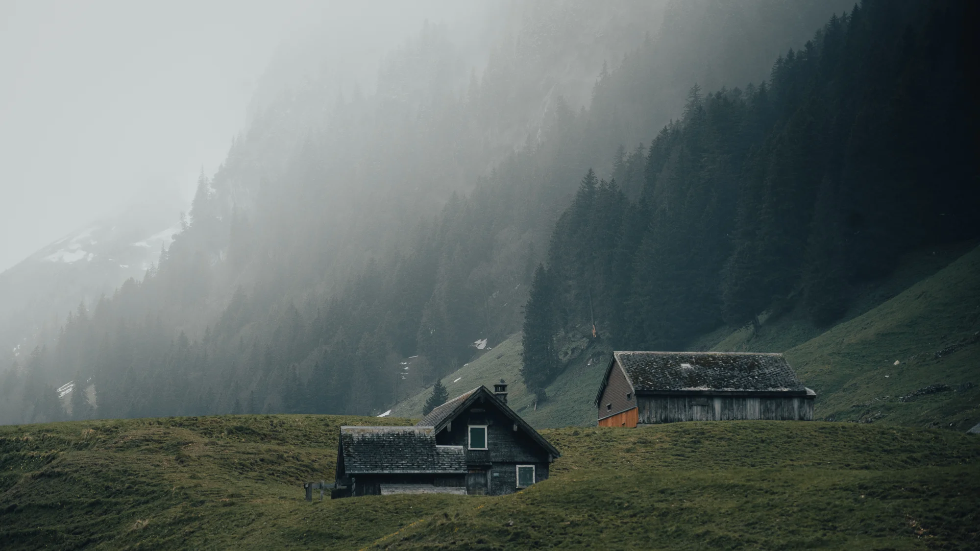 Swiss-10.jpg