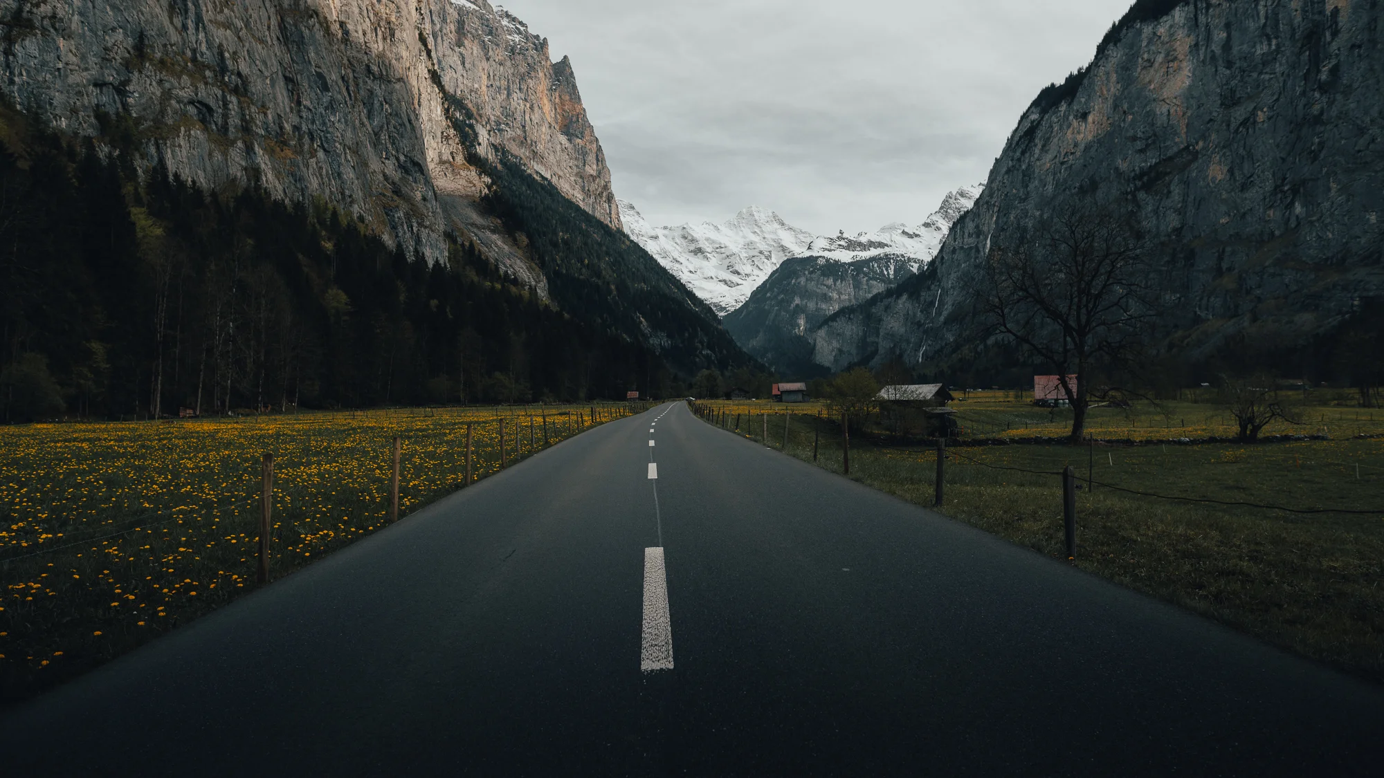 Swiss-18.jpg