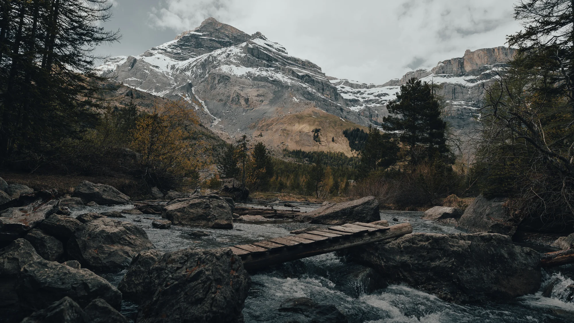 Swiss-30.jpg