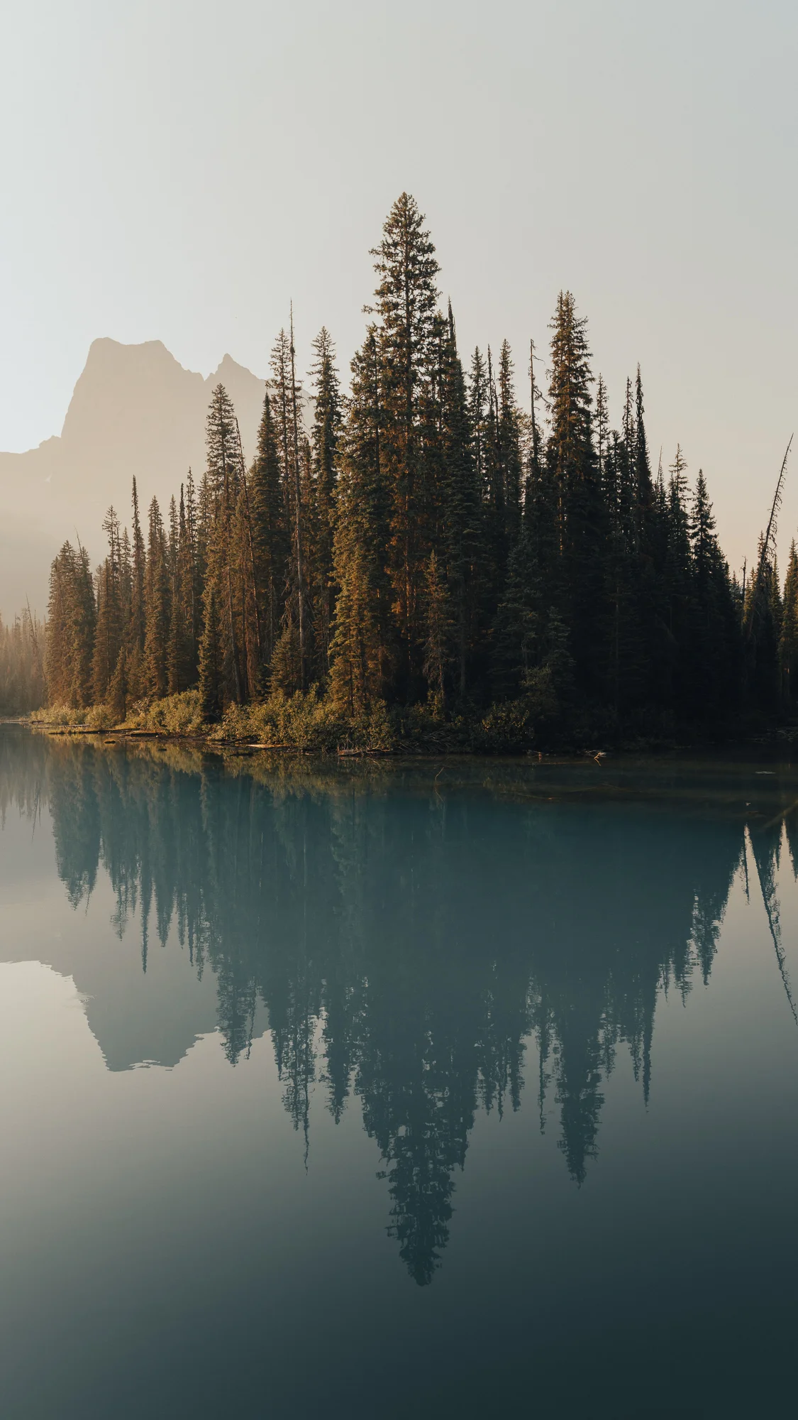 Canada_aug-18.jpg
