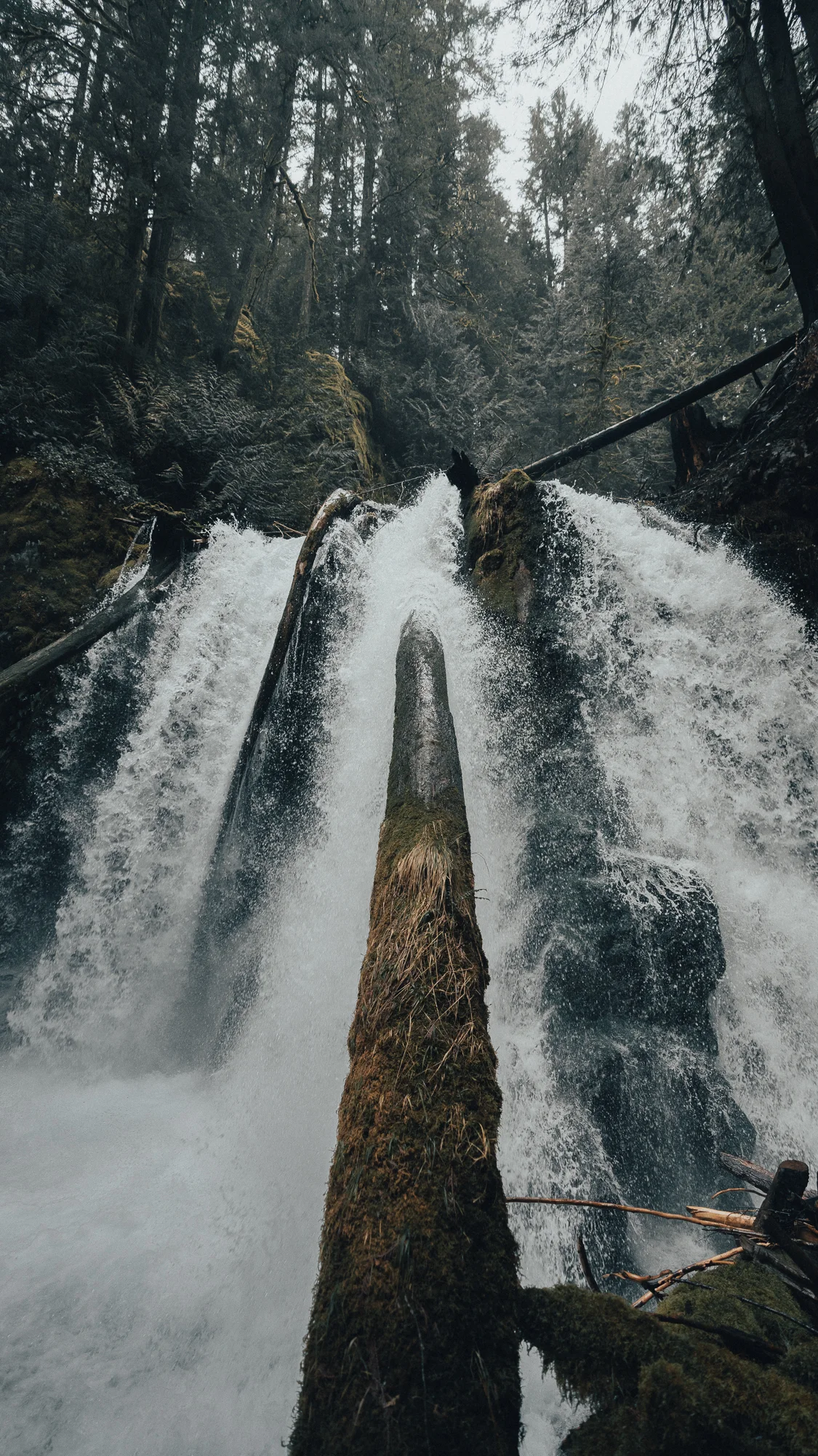 Oregon-29.jpg