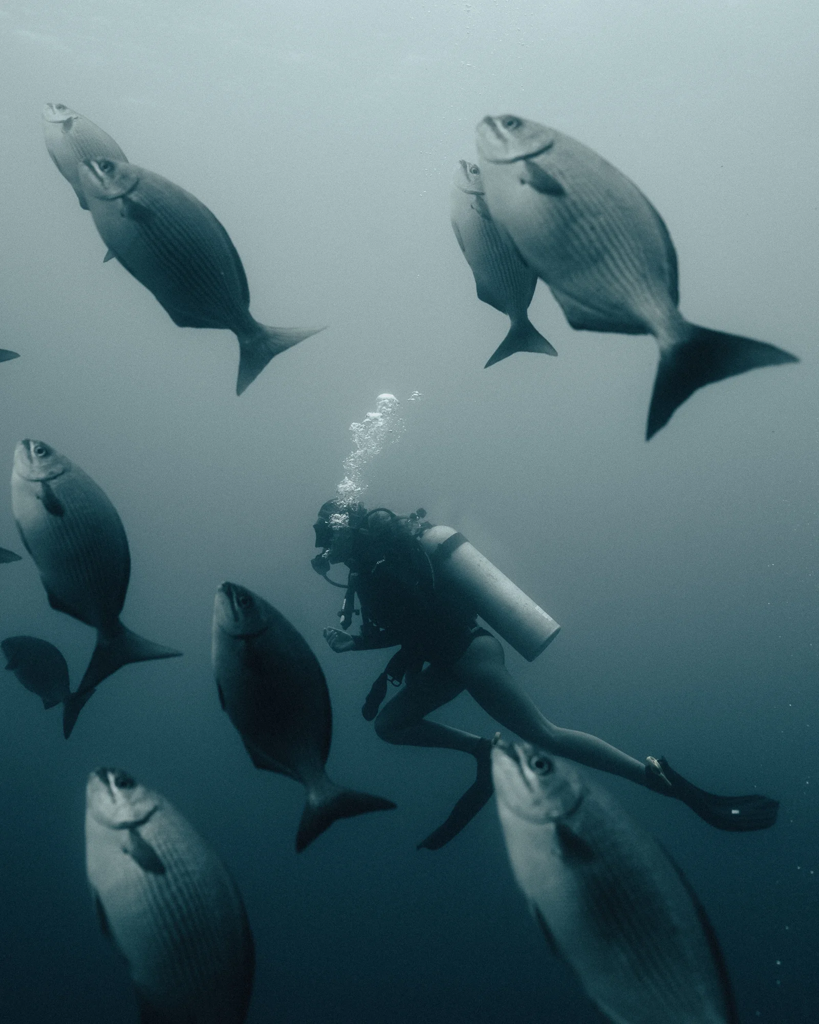 Belize-20.jpg