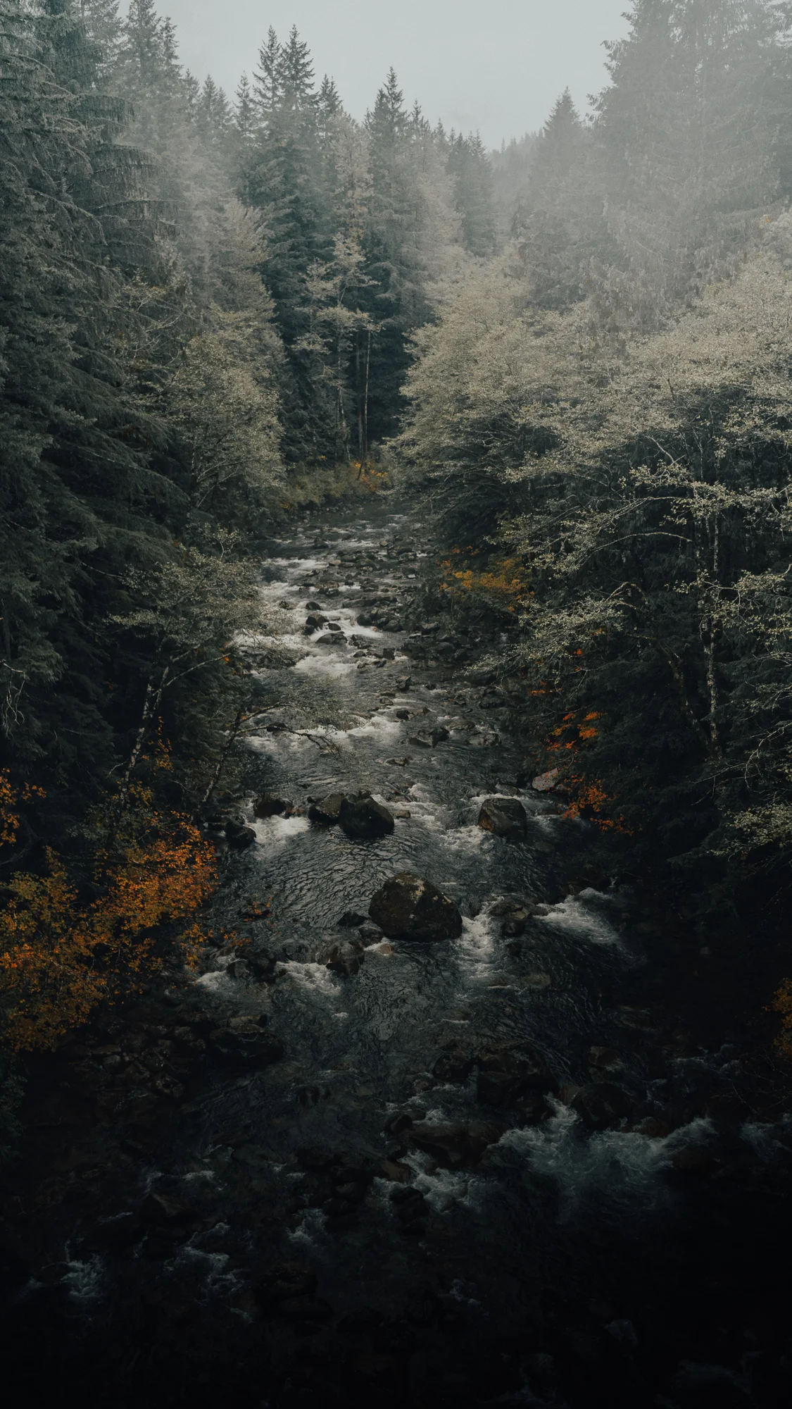 washington-17.jpg