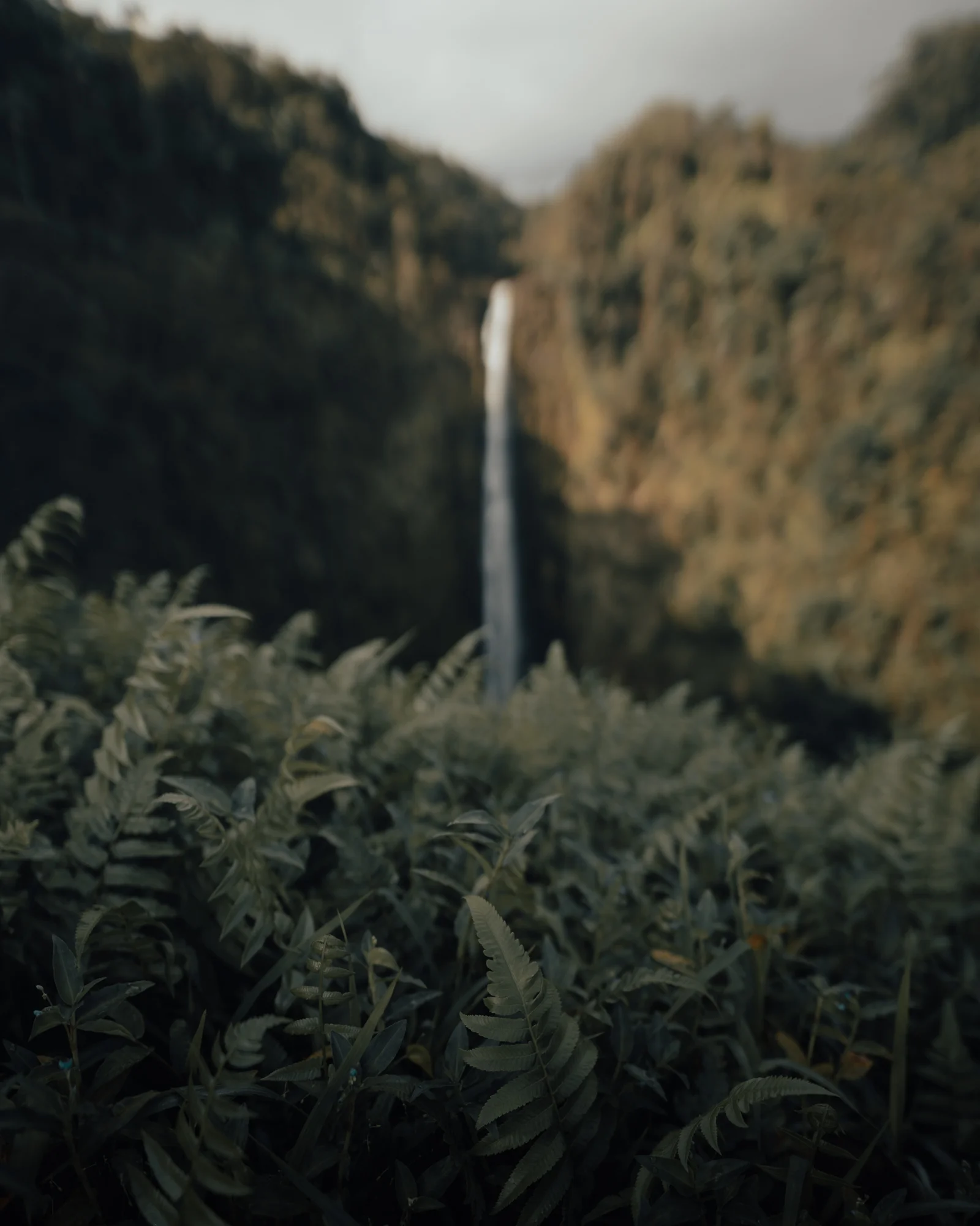 hawaii-3.jpg
