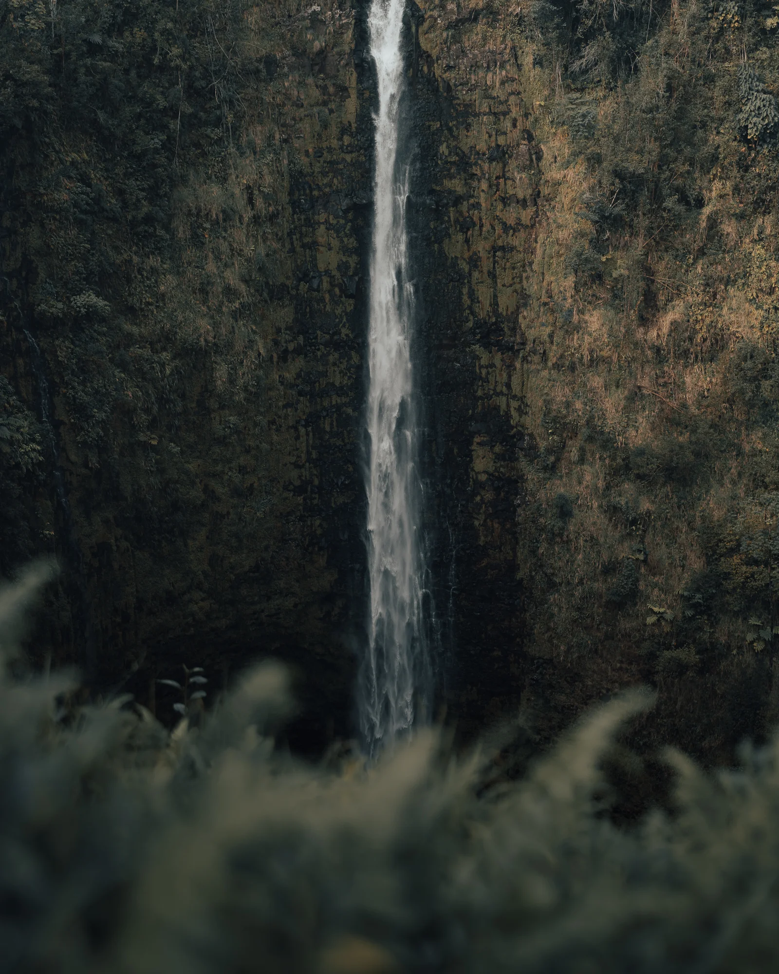hawaii-4.jpg