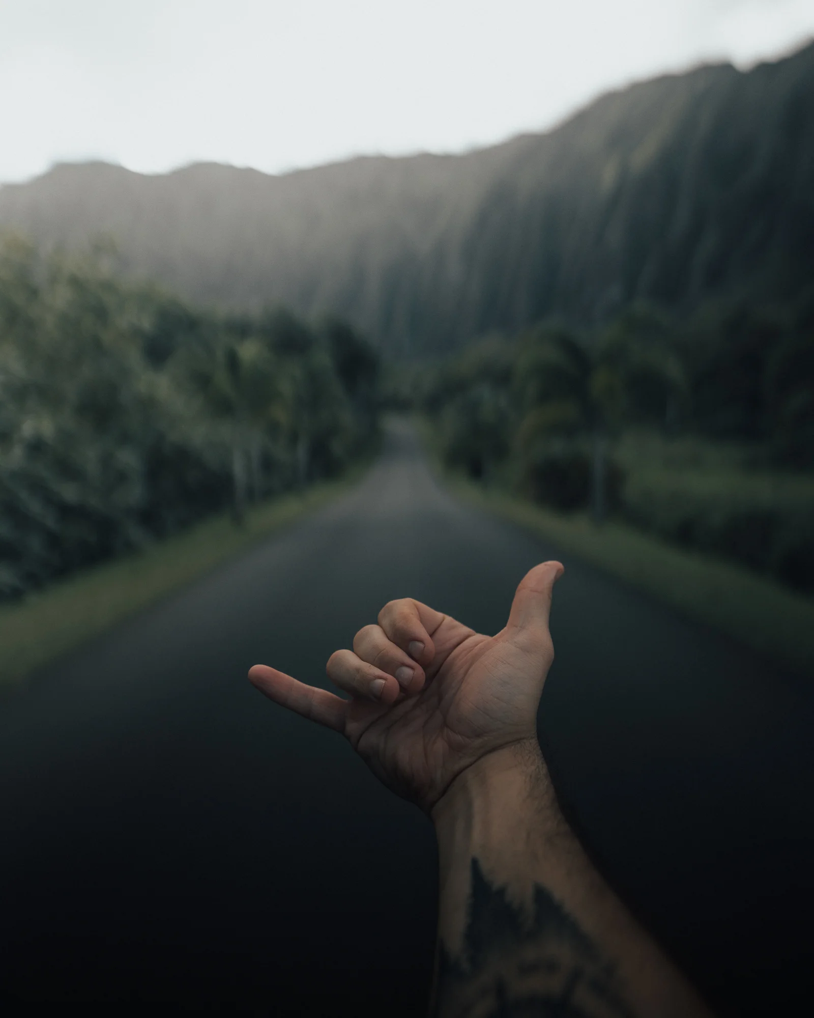 hawaii-33.jpg