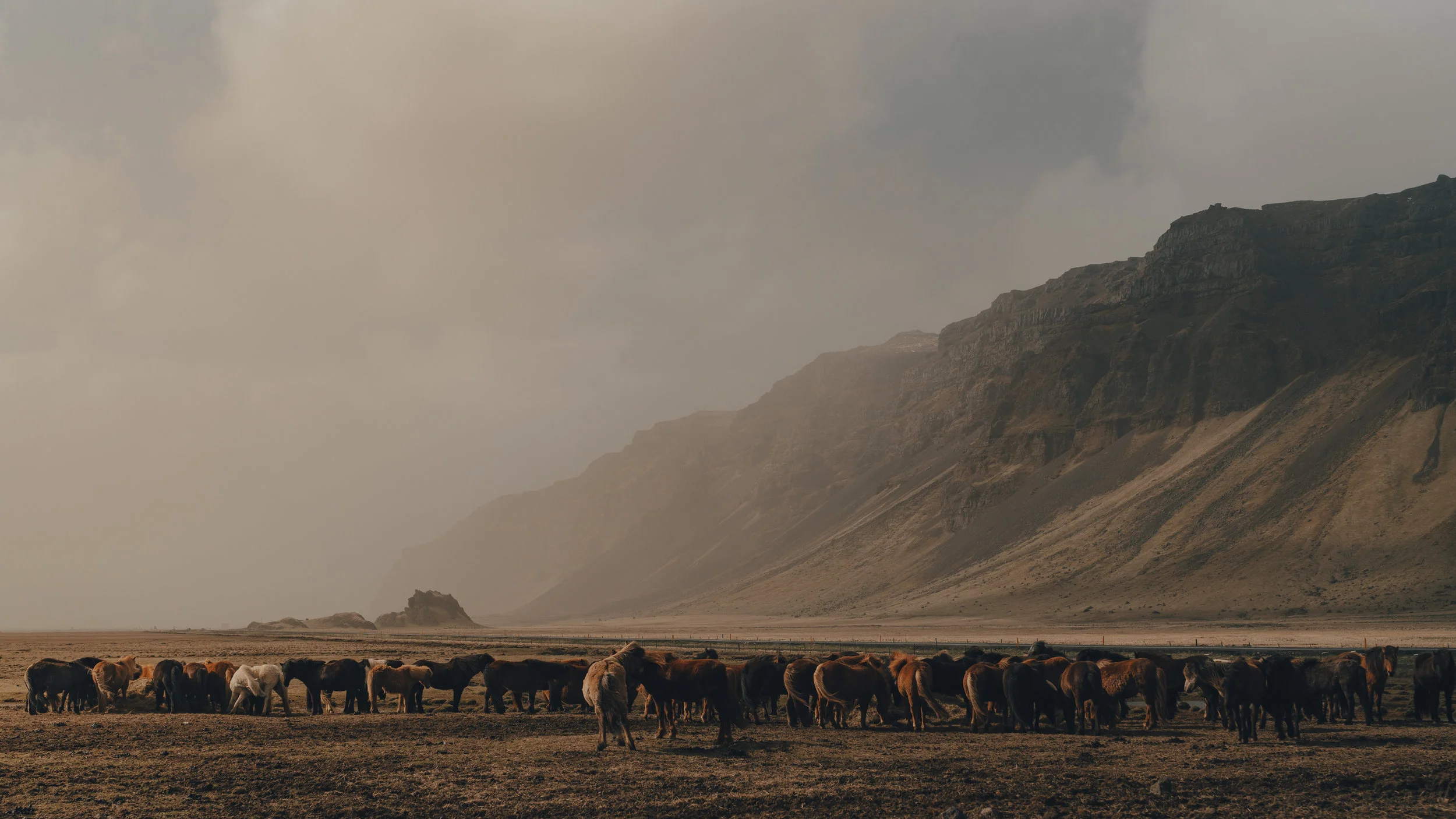 Danner Iceland-44.jpg