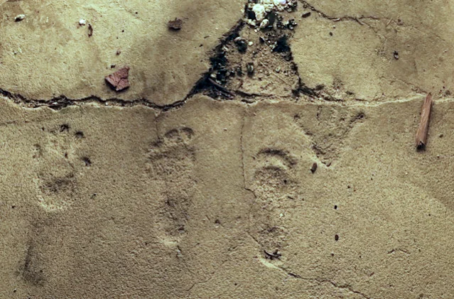 the-ruin-pioneertown-footprints-on-the-wall.jpg