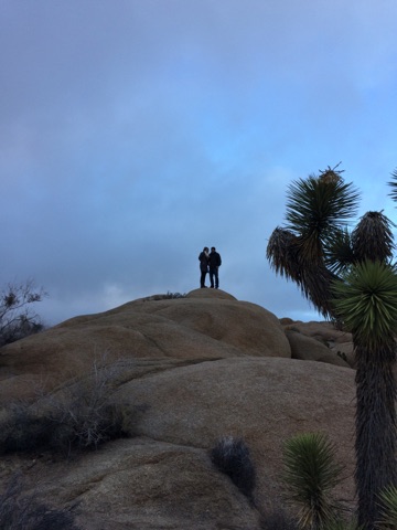 Joshua Tree National Park, California