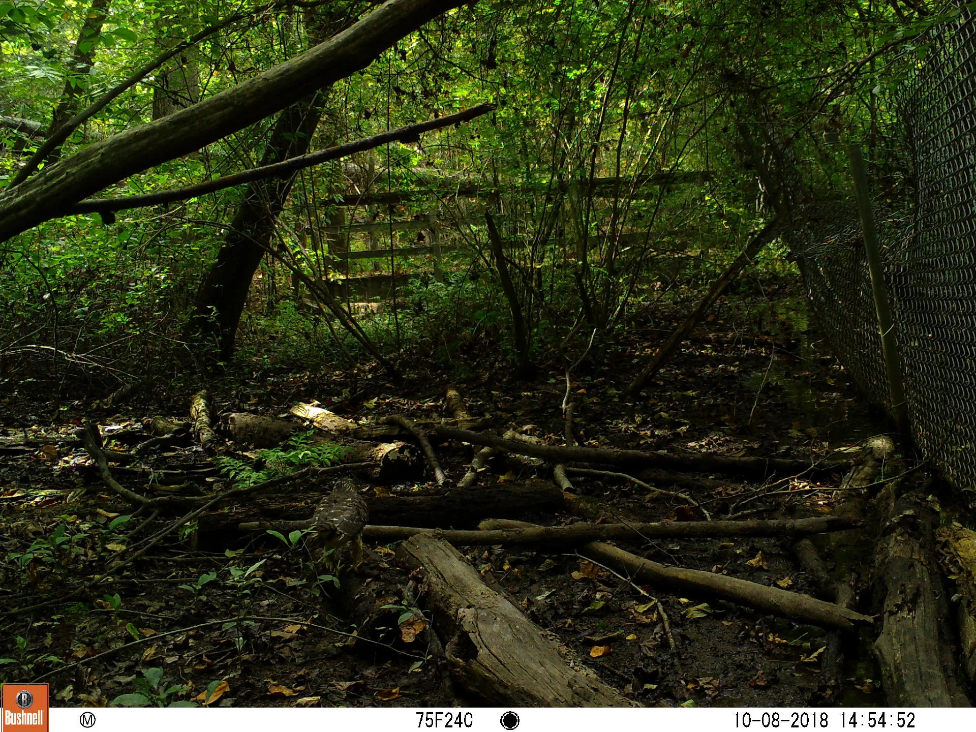 October - November 2018