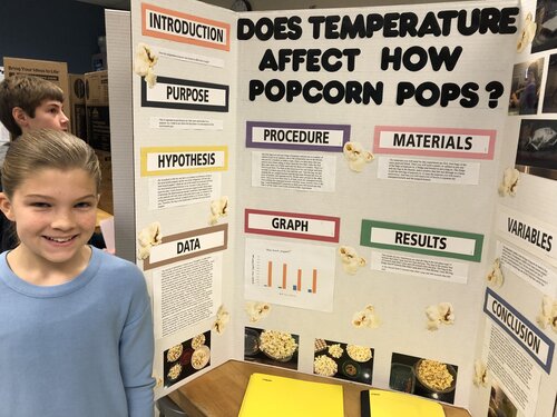 how to write results for a science fair project