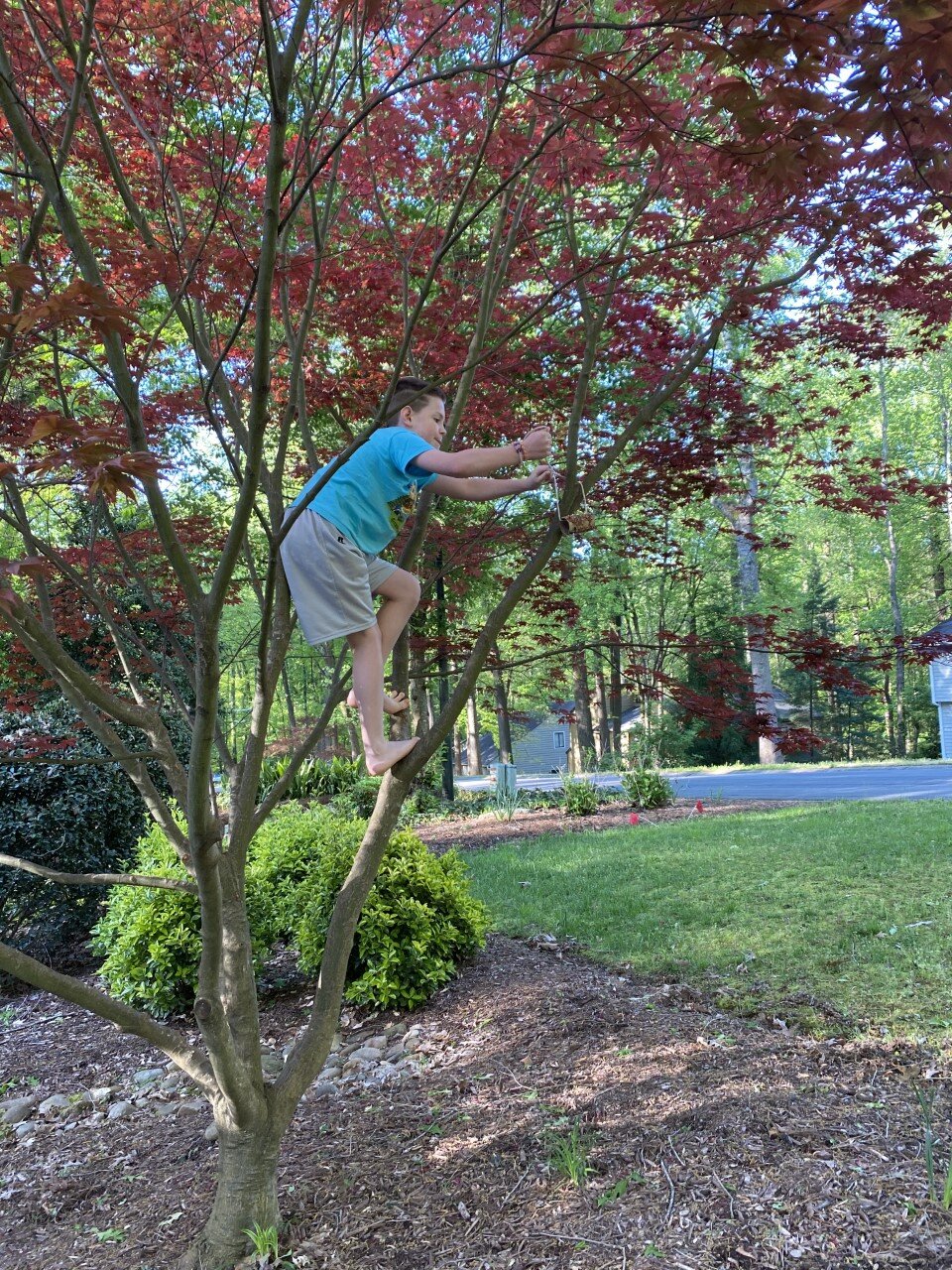 Colin hanging his feeder