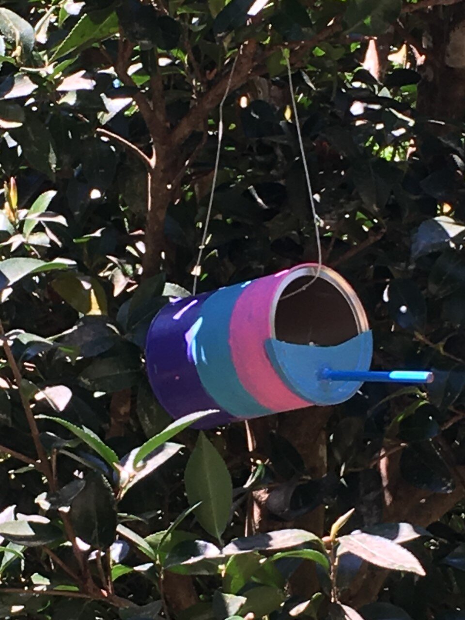 Leah's birdfeeder